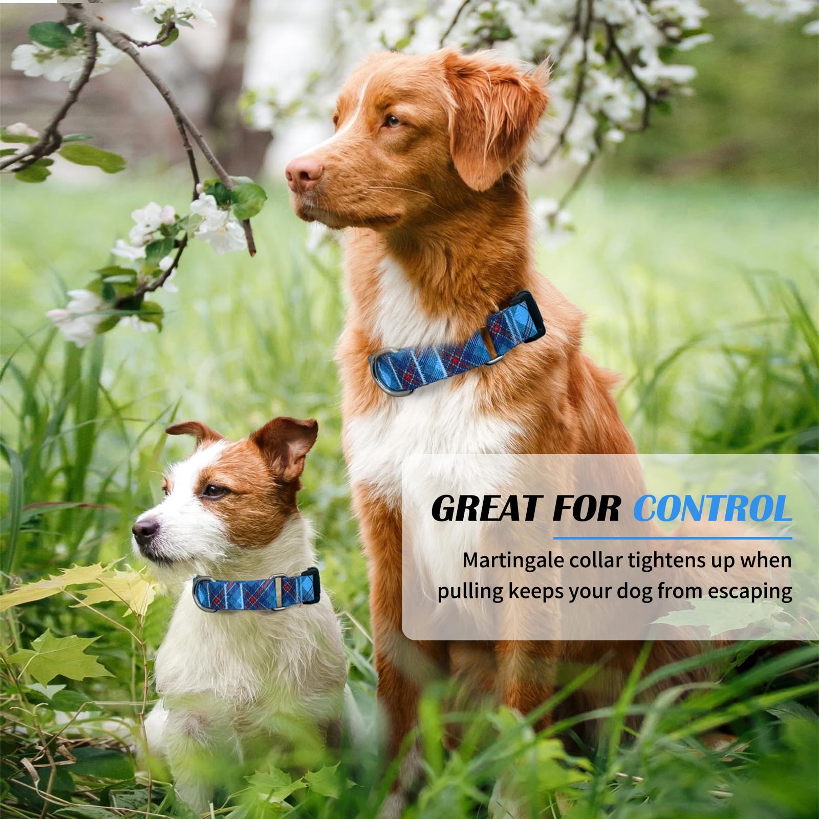 Hikiko Dog Collar For Small Medium Large Dogs, Adjustable Nylon Martingale Collars With Quick Release Buckle (Blue Plaid,M)
