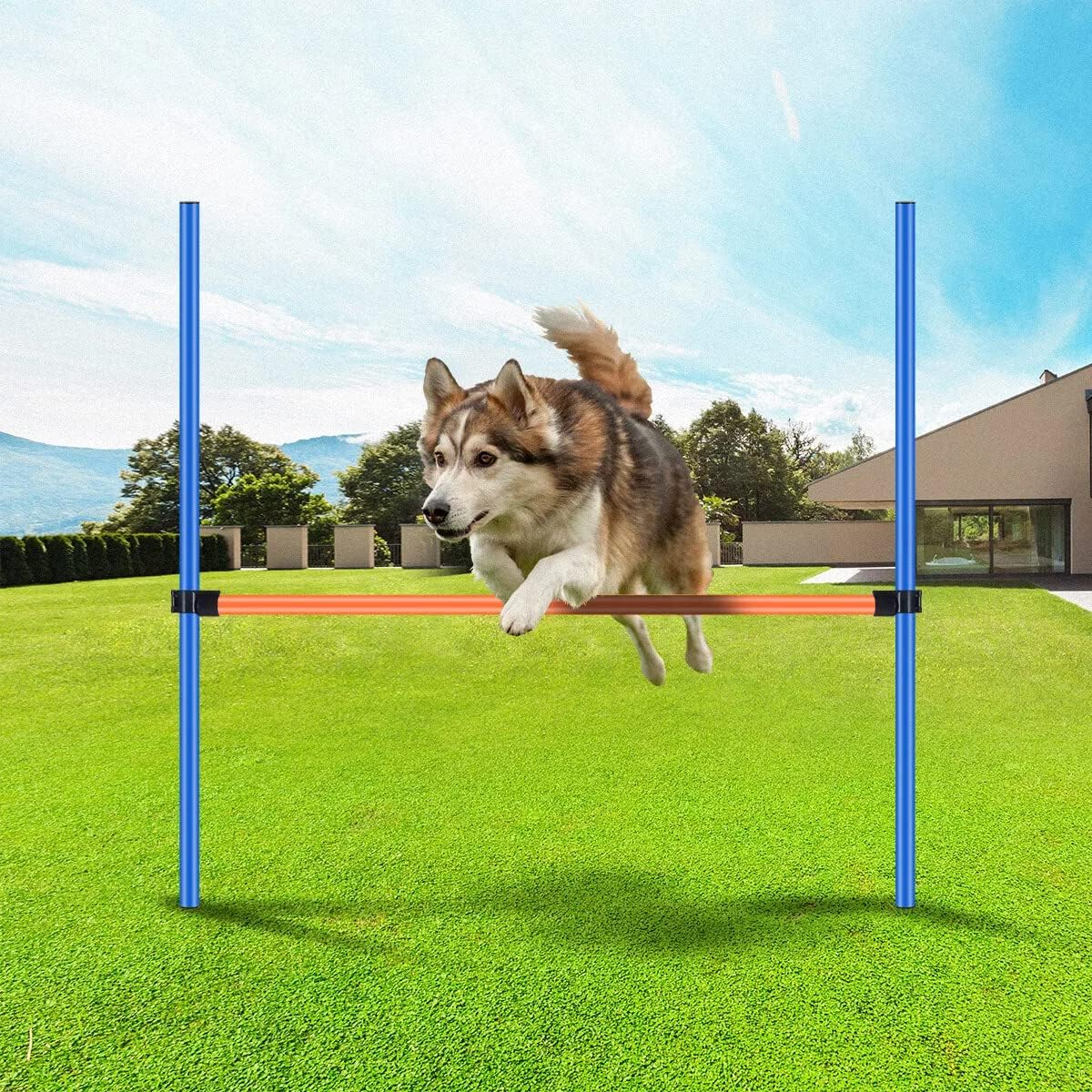 Pawise Dog Training Exercise Equipment,Dog Agility Training Equipment,Dog Jump Hurdles Training Equipment,Playground Equipment Outdoor