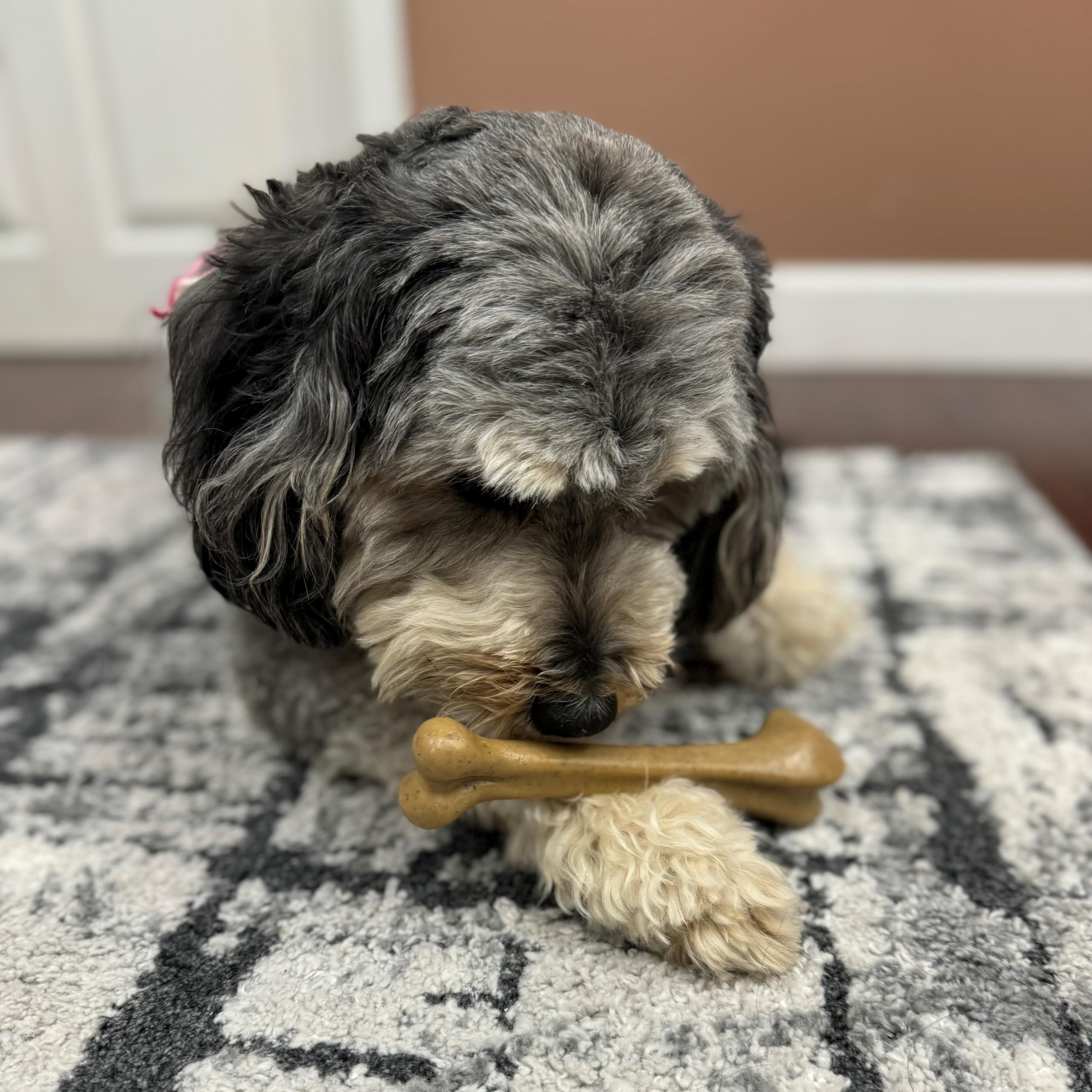 Spot Ethical Pets 54318 Bambone Bone Chicken Pet Chew Toys