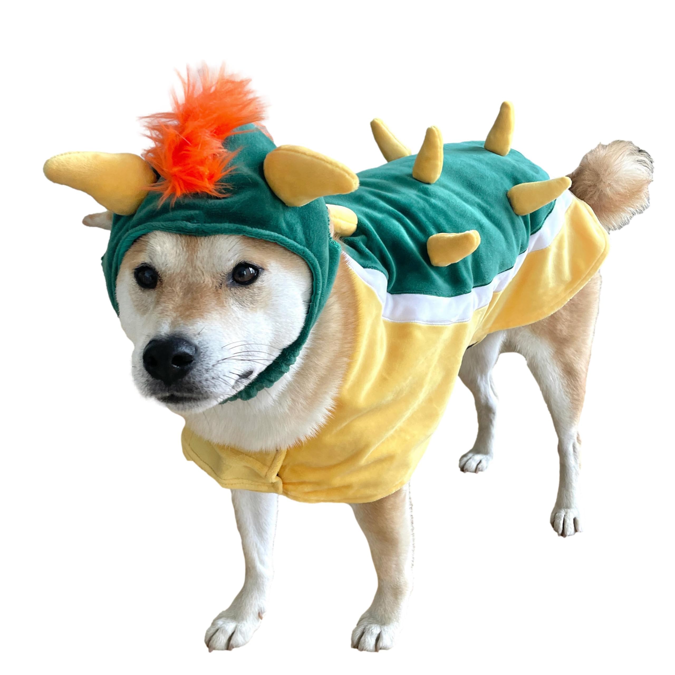 ComfyCamper Dog Costume - Hat & Suspenders, Large, Green, Polyester, X Large Medium Small Lab Star Space, Perfect for Halloween