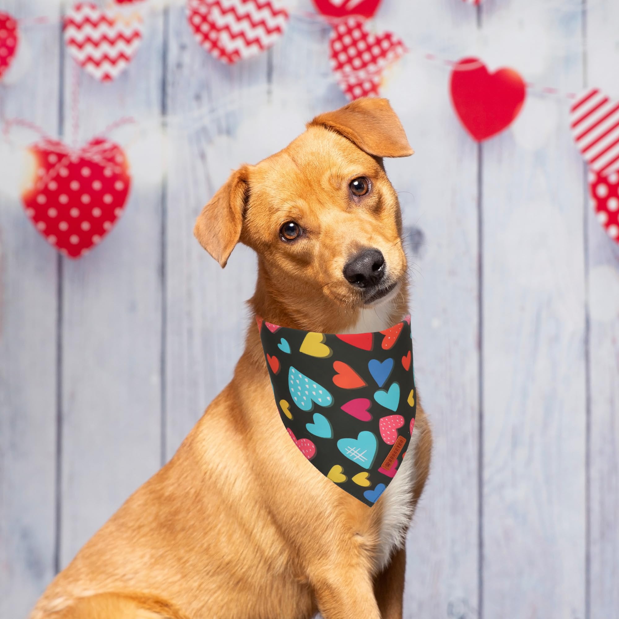 Adoggygo Valentine Dog Bandanas 2 Pack, Triangle Reversible Love Heart Scarf, Premium Durable Fabric, Pet Valentine Bandana For