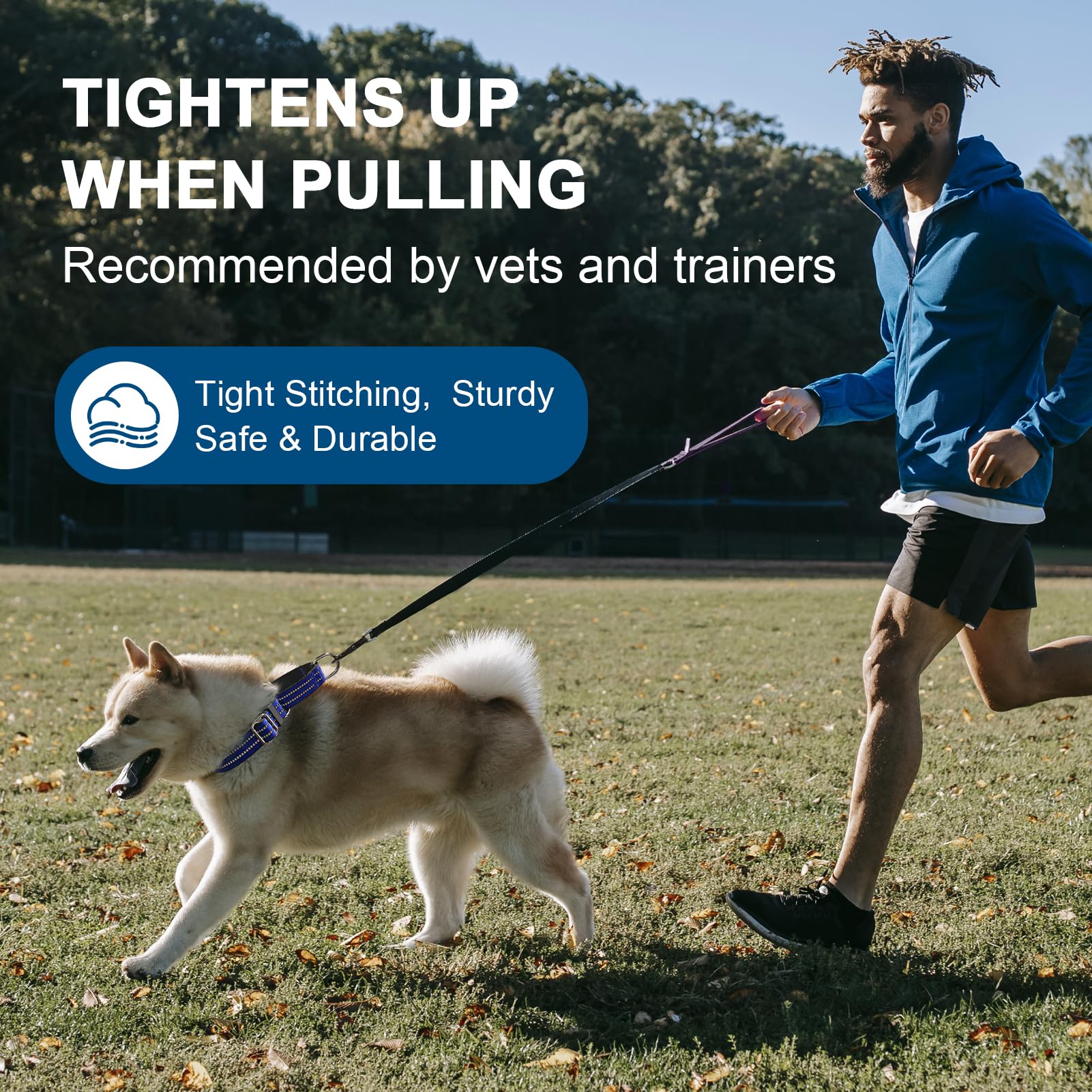 Joyeeiioo Martingale Dog Collar, Adjustable Nylon Reflective Collar With Quick Release Buckle (Royal Blue, Large)