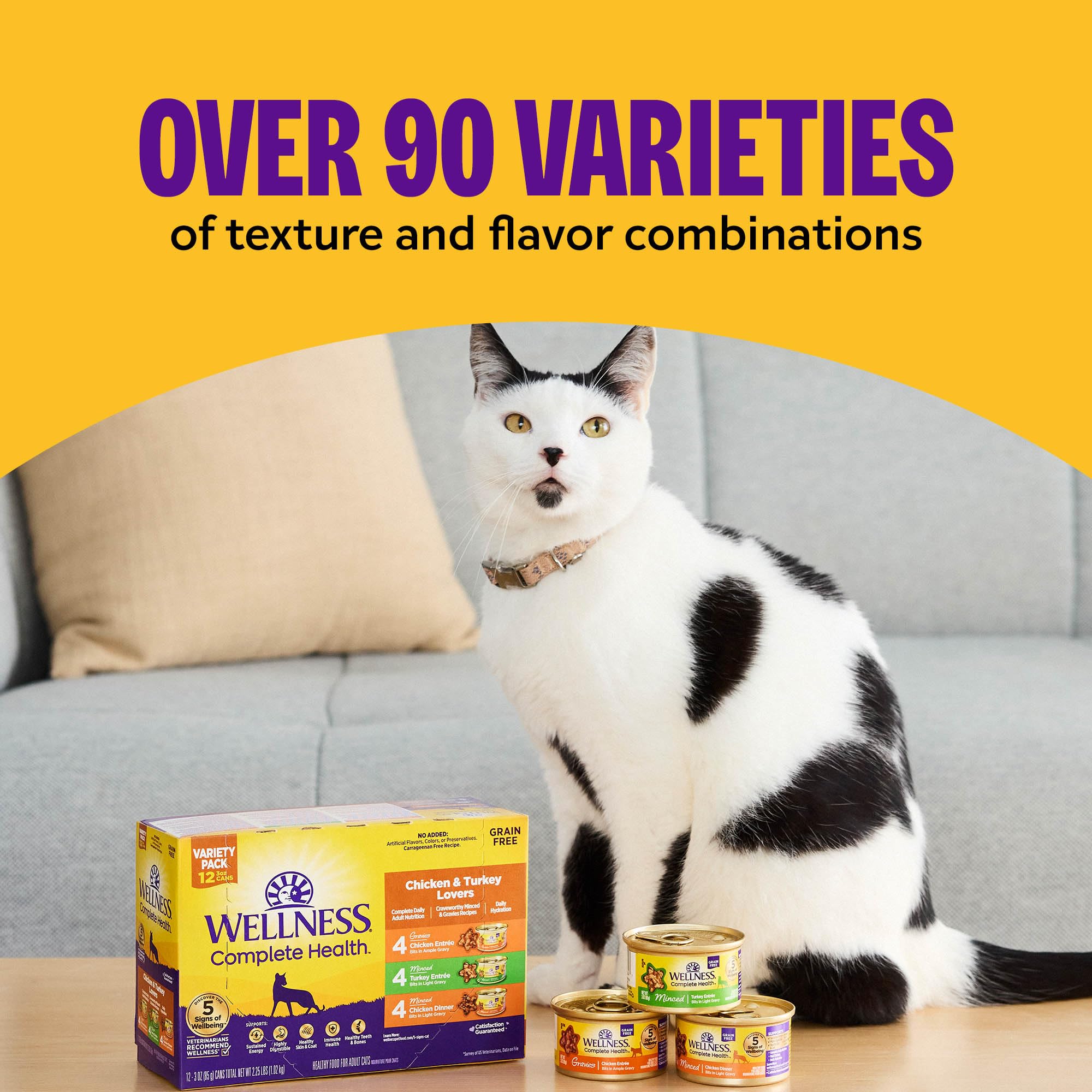 Wellness Complete Health Grain-Free Wet Canned Cat Food, Natural Ingredients, Made with Real Meat, All Breeds, Smooth Pate (Turk