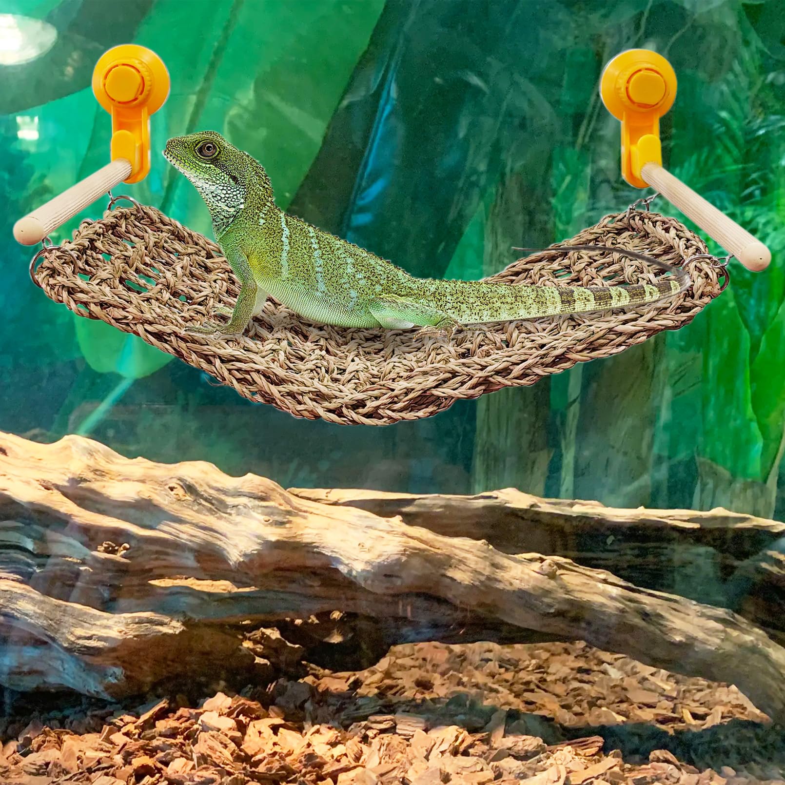 VCEPJH Bearded Dragon Window Perch Reptile Window Hammock Natural Seagrass Lizard Lounger Bed with Powerful Suction Cups Climbin