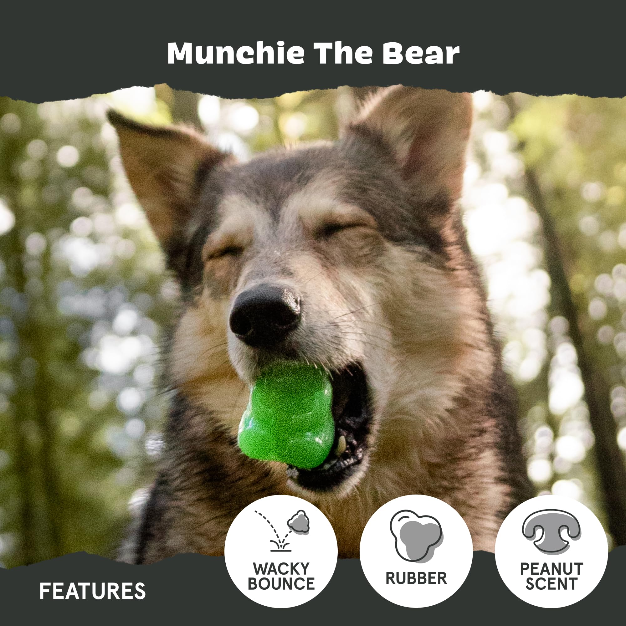 Barkbox Munchie The Bear Dog Toy For Treat Dispensing And Bouncing For Dogs Up To 20 Lbs, Small