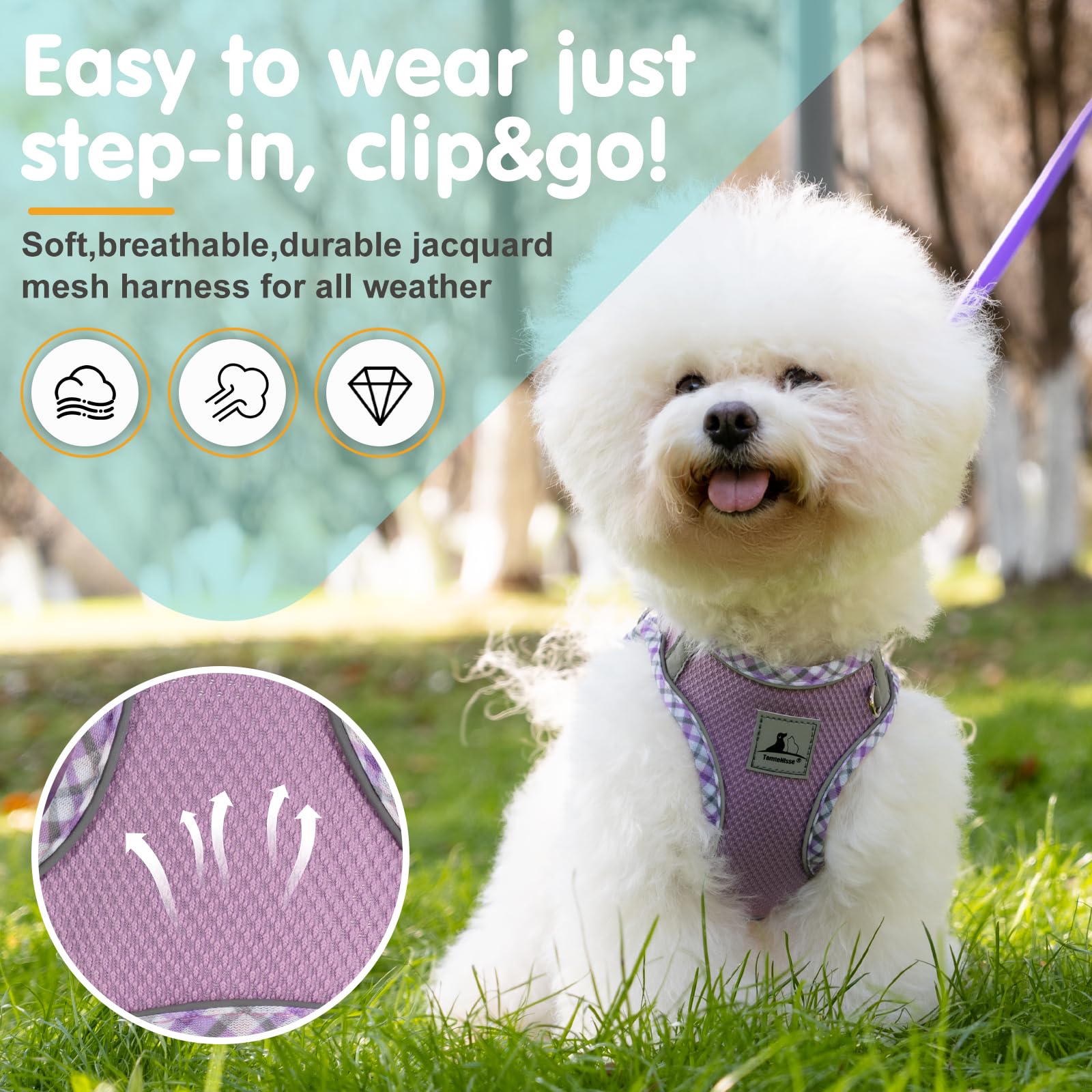 Tomtenisse Dog Harness And Leash Set - No Pull Soft Breathable Small Dog Harness, Adjustable Reflective Step In Vest For Puppy,