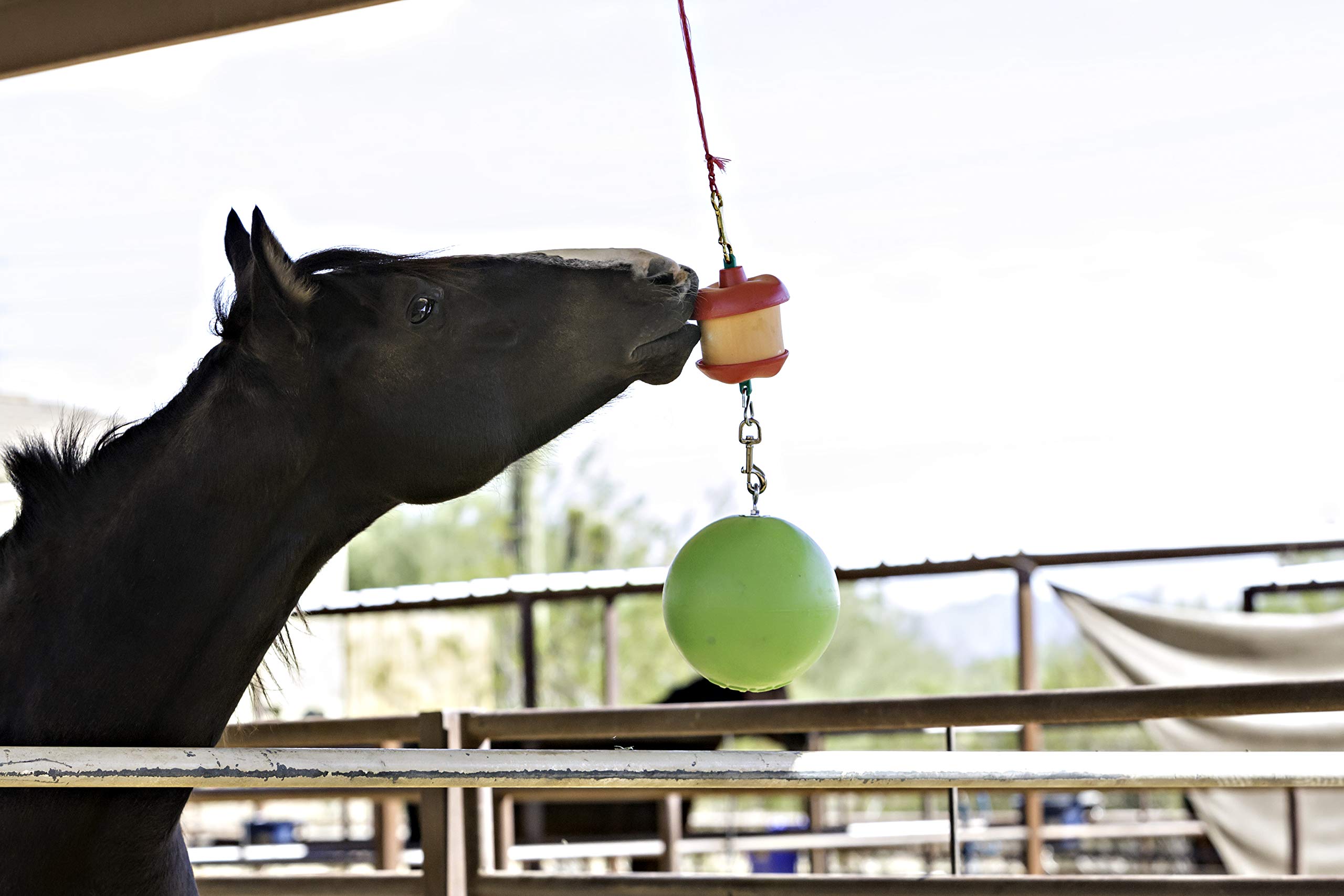 Horsemen'S Pride Combo Horse Stall Toy: Apple Scented Jolly Ball And Apple Flavored Snack Holder (Ss203)