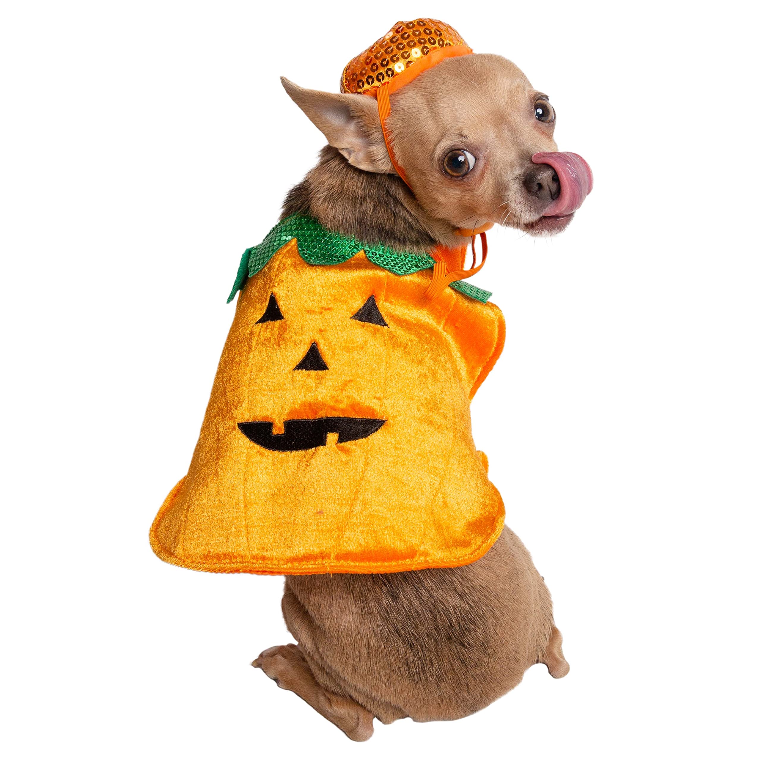 Pet Krewe Small Dog Pumpkin Outfit - Pet Pumpkin Costume - Fits Small, Medium, Large And Extra Large Dogs, Cats - Perfect For Halloween, Christmas Holiday, Parties, Photoshoots, Gifts For Dog Lovers