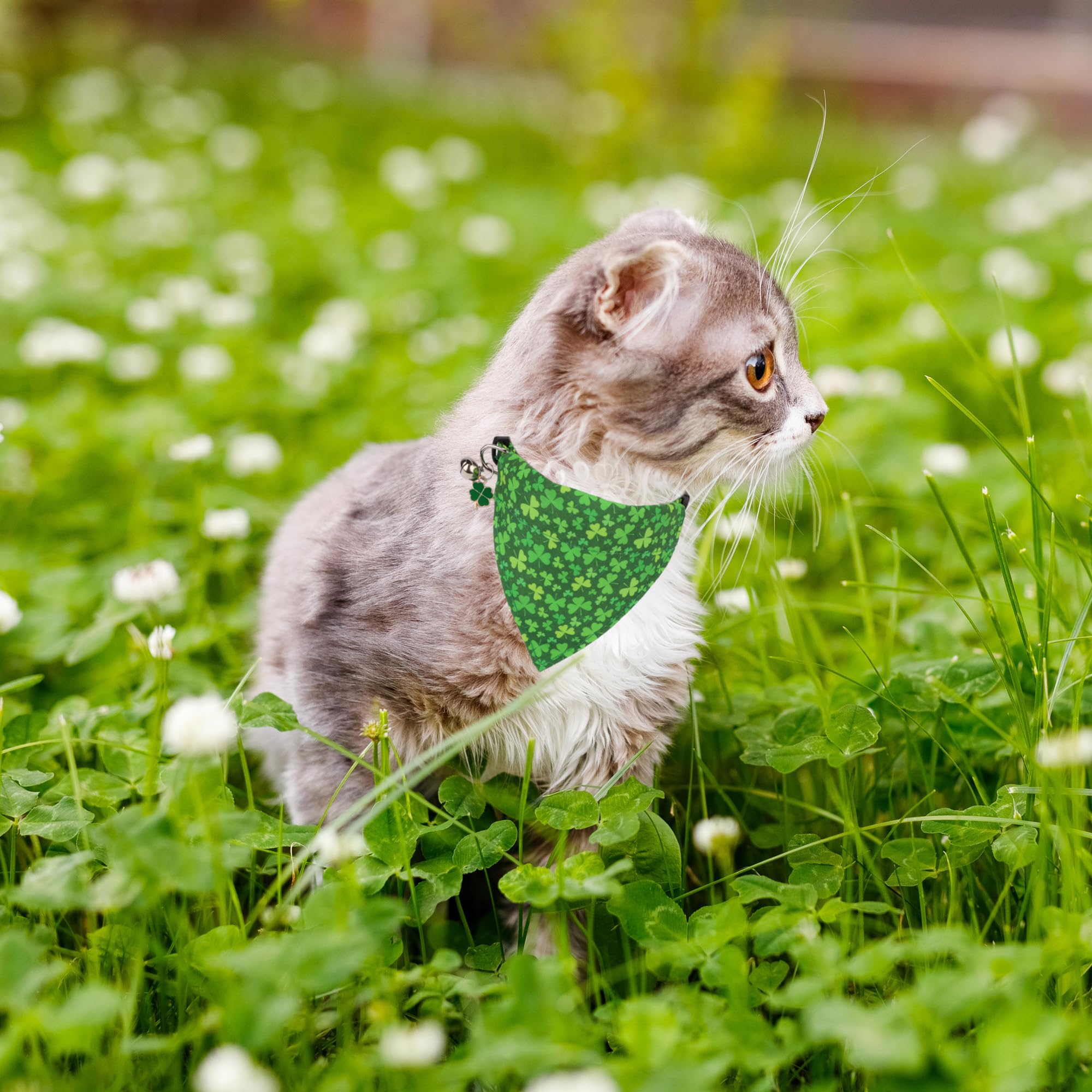 Adoggygo St. Patrick'S Day Cat Collars With Bandana Bell, 2 Pack Adjustable Cat Bandana Collar With Removable Scarf, Green Shamr