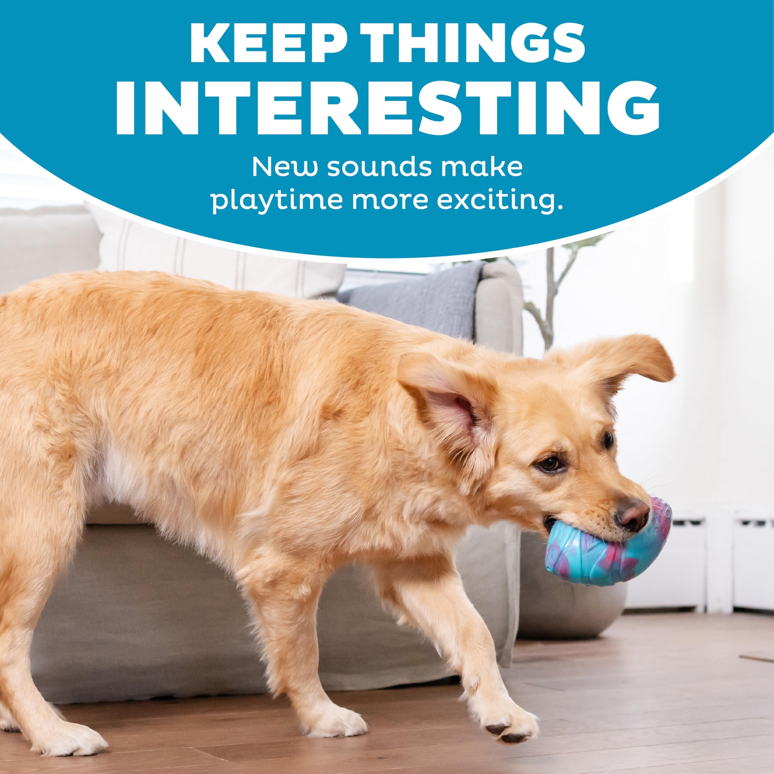 Outward Hound Grunt N Punt Football Dog Toy - Throwing, Fetching Fun