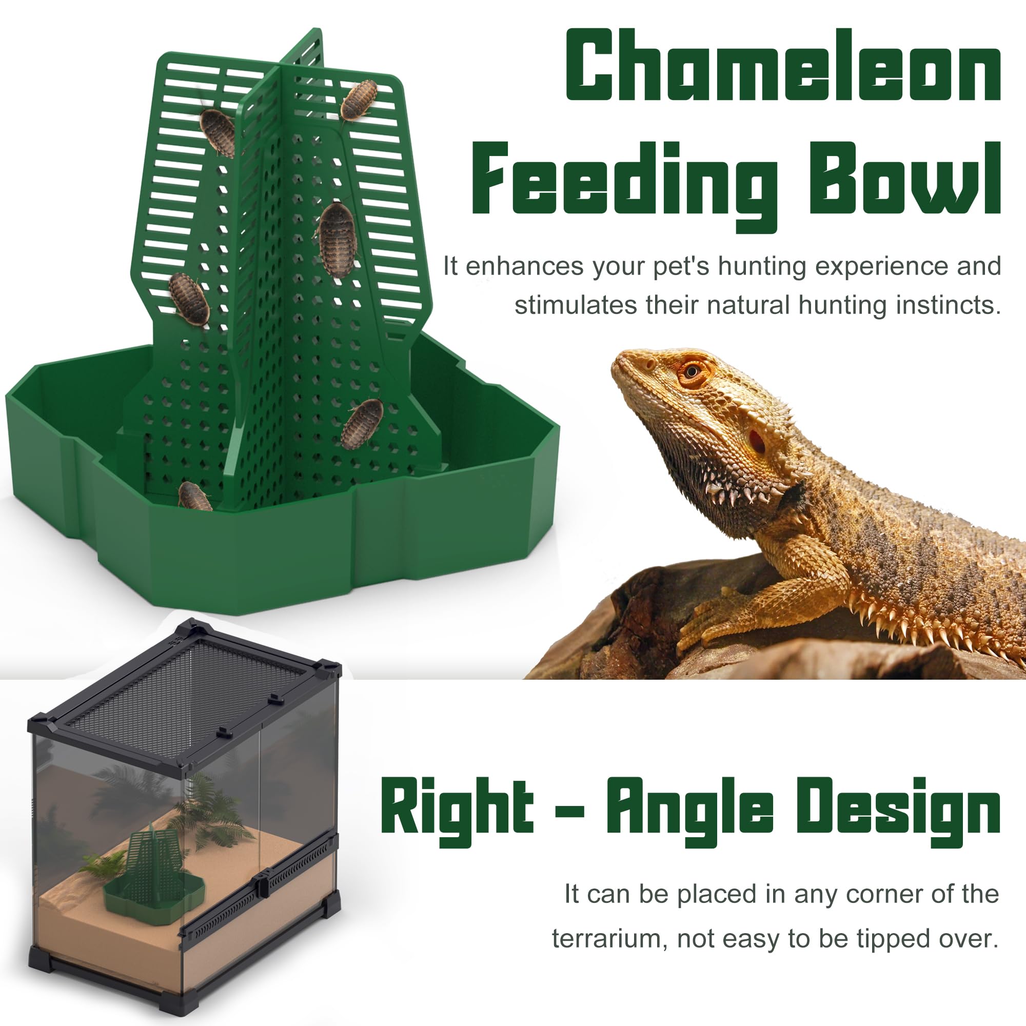 Fischuel Chameleon Feeding Bowl For Reptile Terrarium, Climbable Design For Reptile To Hunt, Suitable For Feeding Lizards, Beard