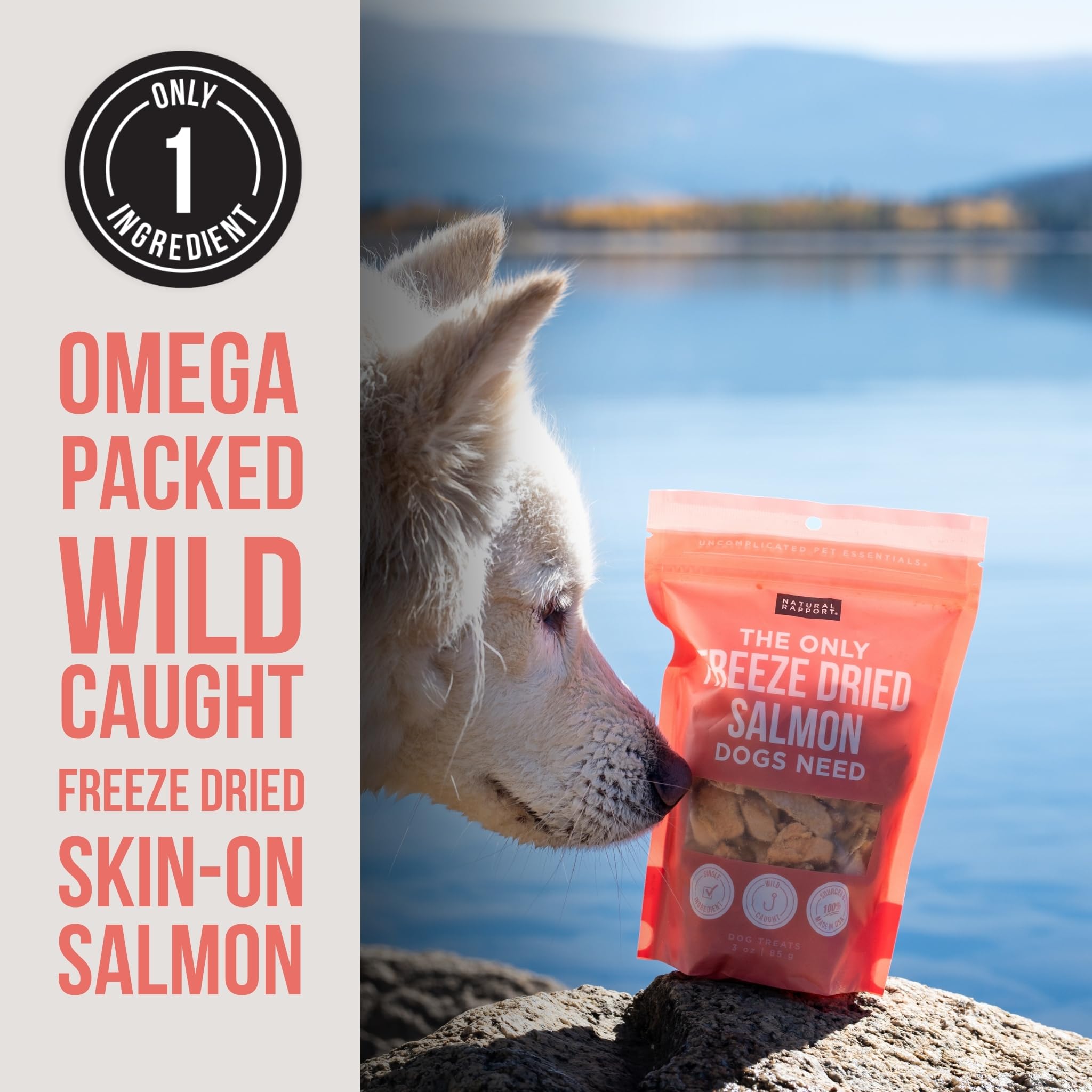 Natural Rapport Salmon Dog Treats - The Only Freeze Dried Salmon Dogs Need - All Natural Dog Treats for Small and Large Dogs (3