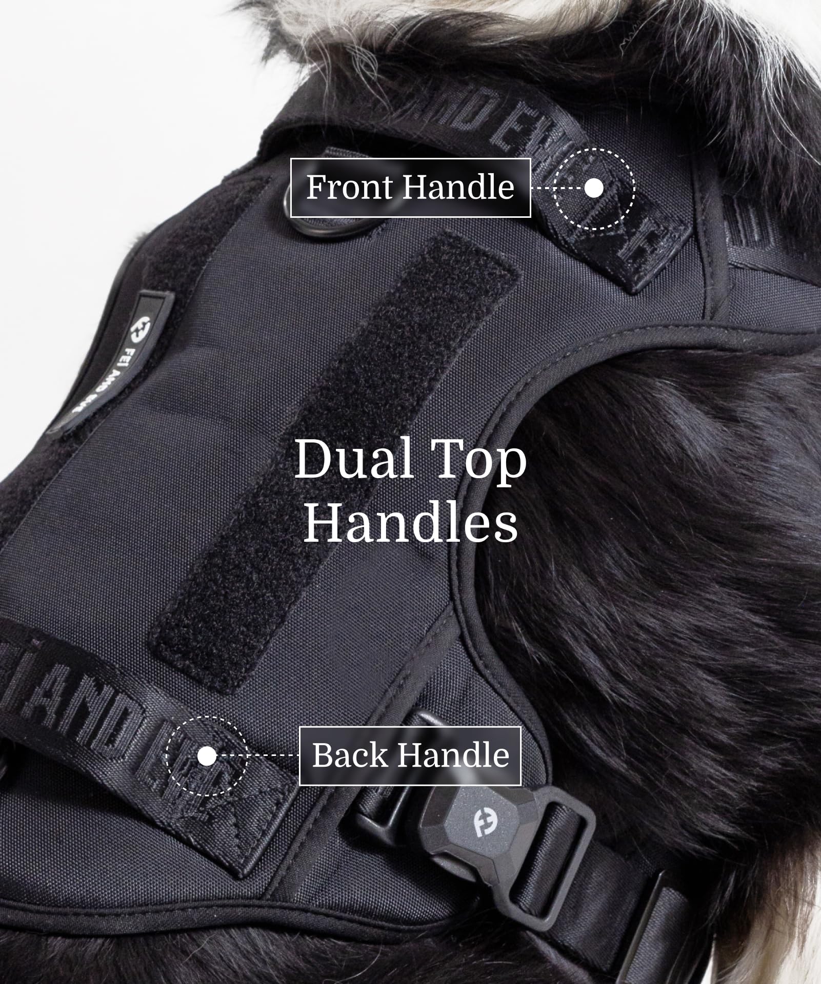 2025 New Edition, Fei & Eve Magease Dog Harness - Patented Magnetic Buckles | 3-Point No-Pull Control | Heavy-Duty 900D Nylon |