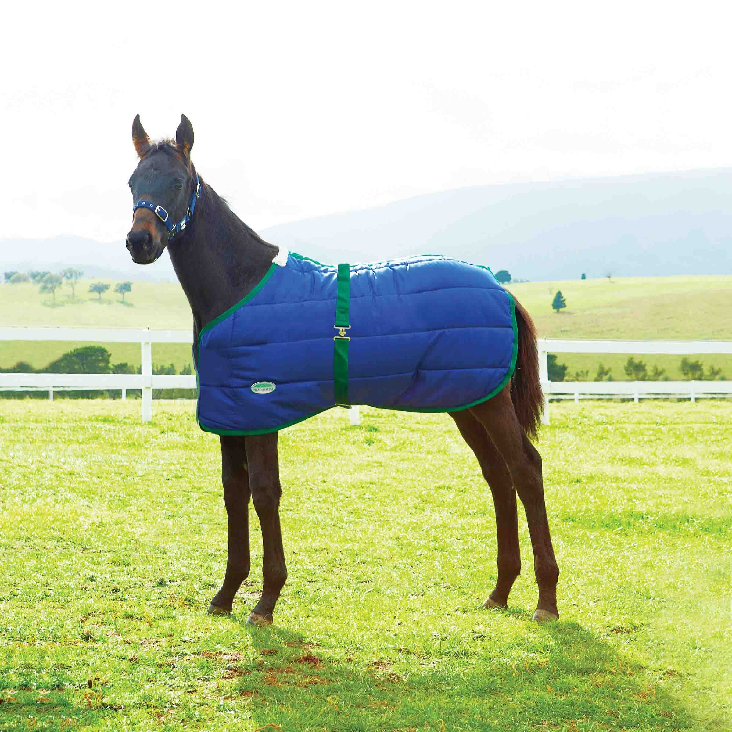 Weatherbeeta 420D Foal Standard Neck Medium Horse Blanket, Navy/Hunter, 28'-42'