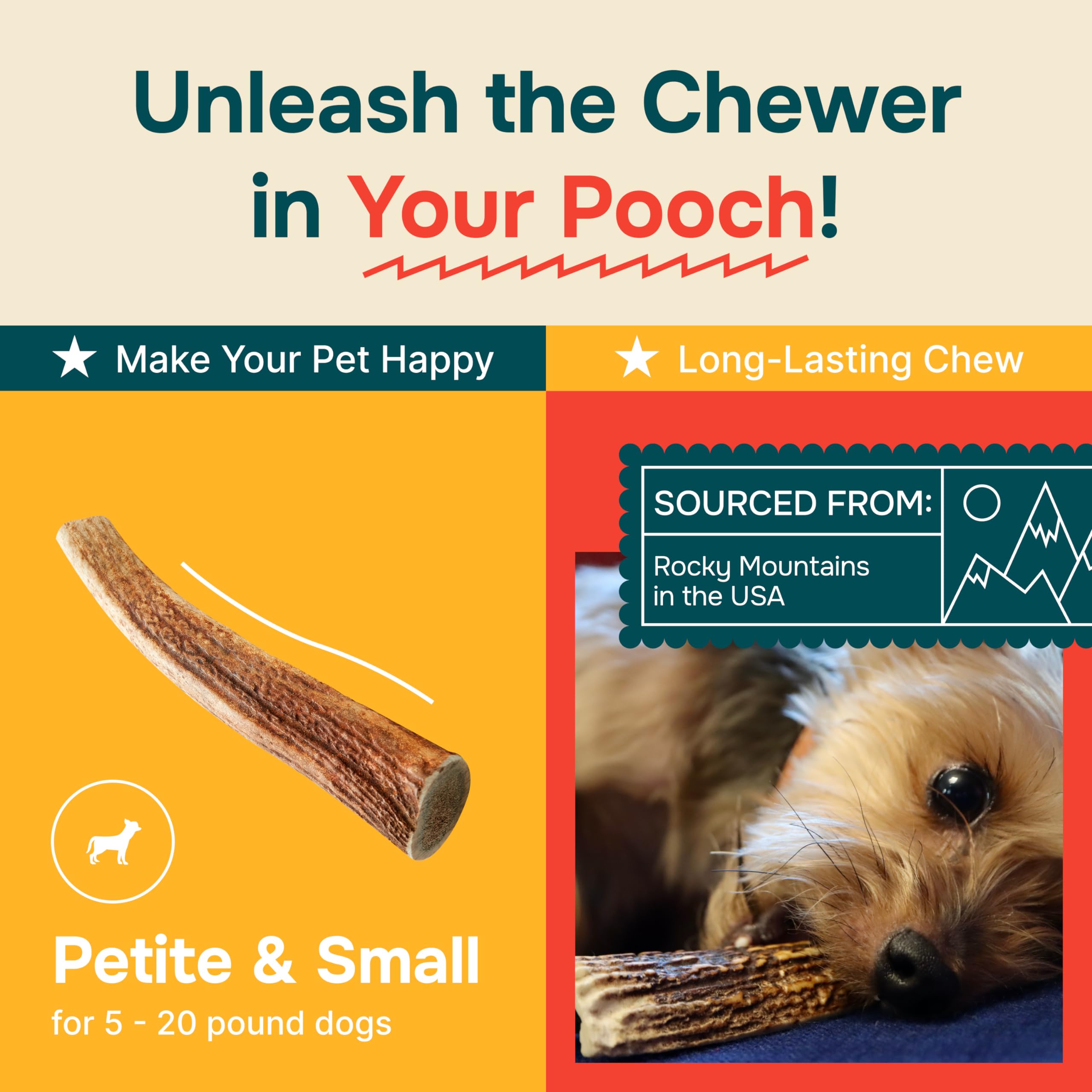 100% Natural - Antlers for Dogs - Naturally Shed in USA - Grade A Long Lasting Chew for Aggressive Chewers - Elk Antlers Dog Ant
