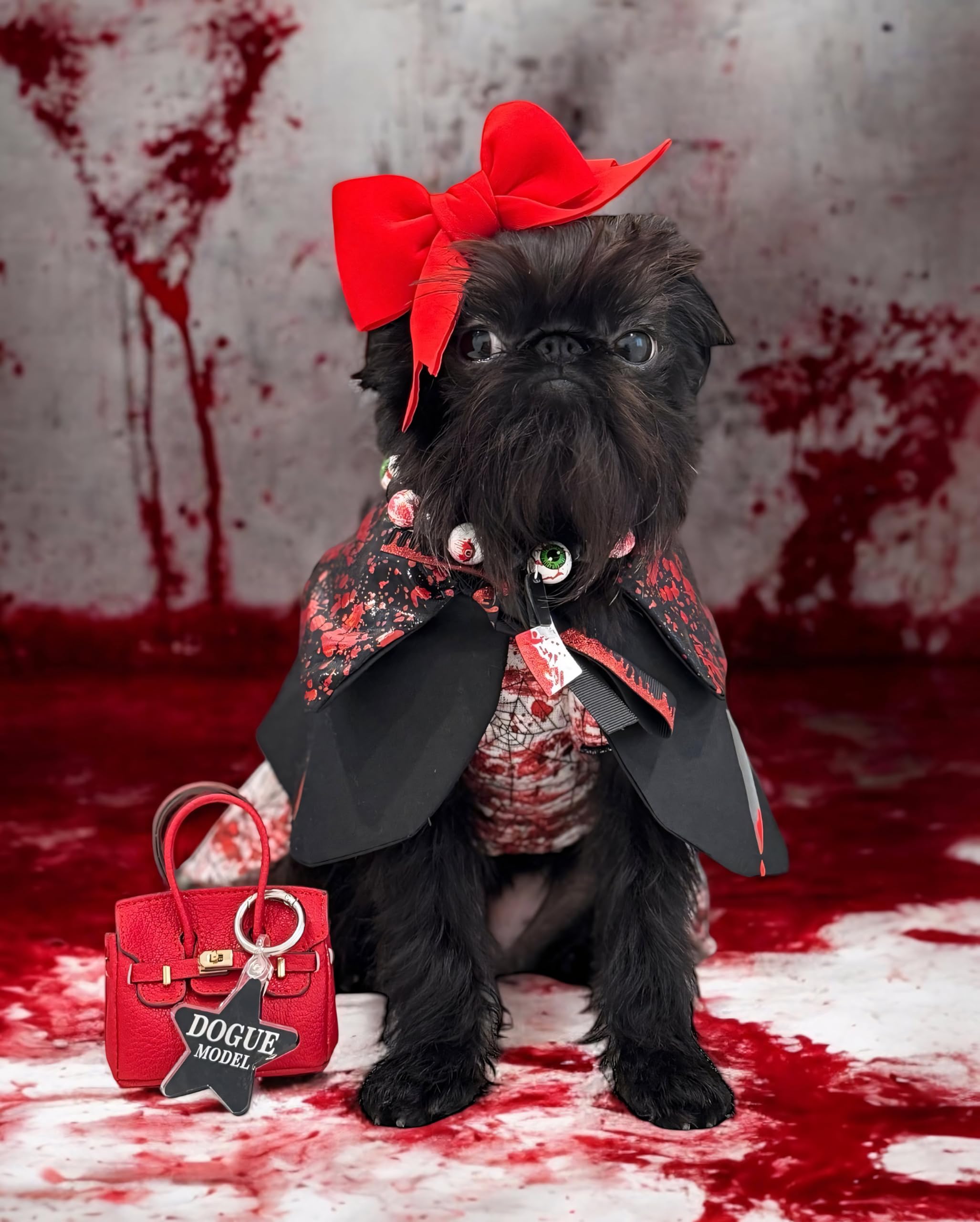 Fitwarm Halloween Spiderweb Dog Dress, Funny Dog Halloween Costumes, Doggy Clothes for Small Dogs Girl, Pet Apparel, Red, White,