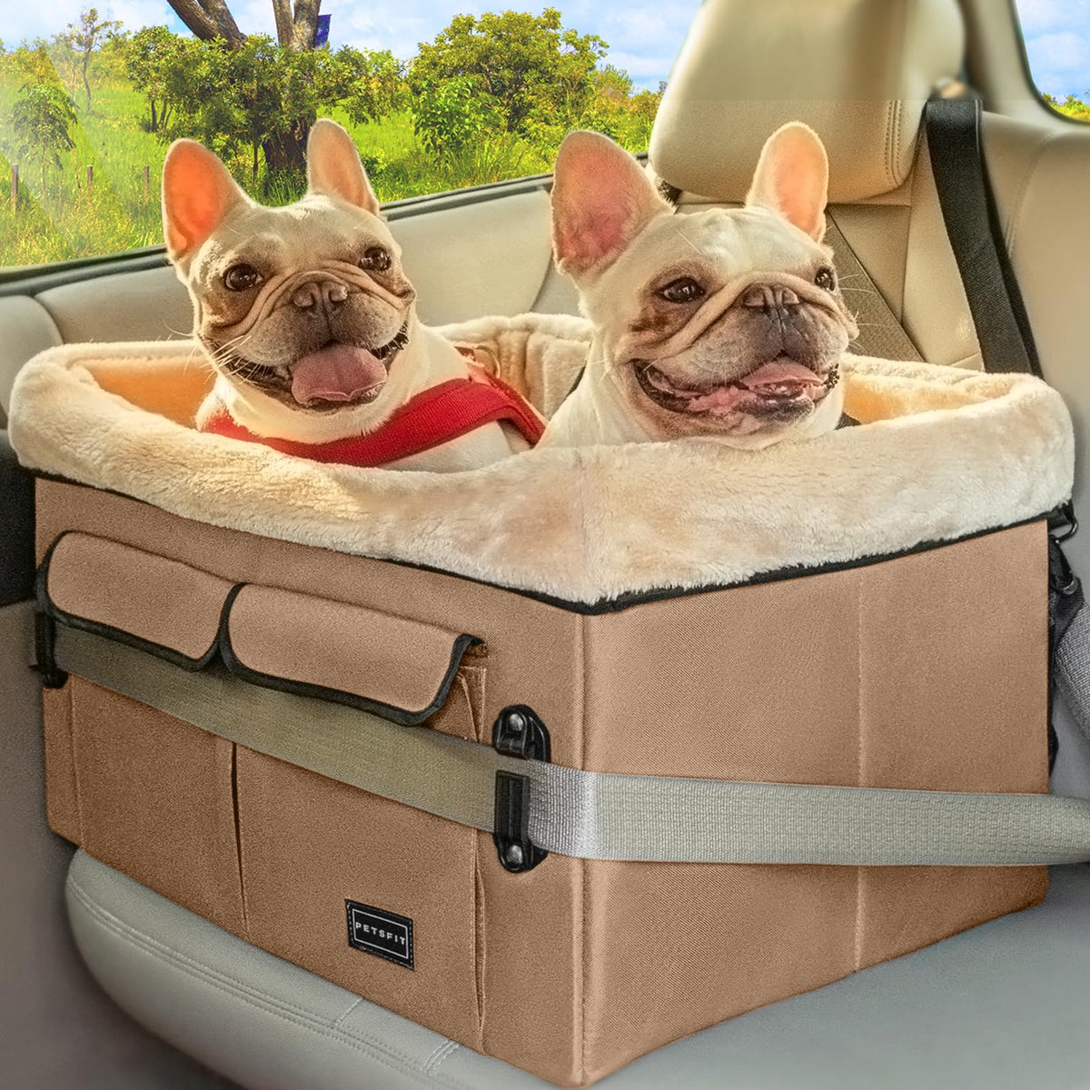 Petsfit Dog Booster Seat For Medium Dogs Or 2 Small Dogs With Patetnt Buckles, Washable Pad, Upgraded Car Seat For Dogs Up To 45