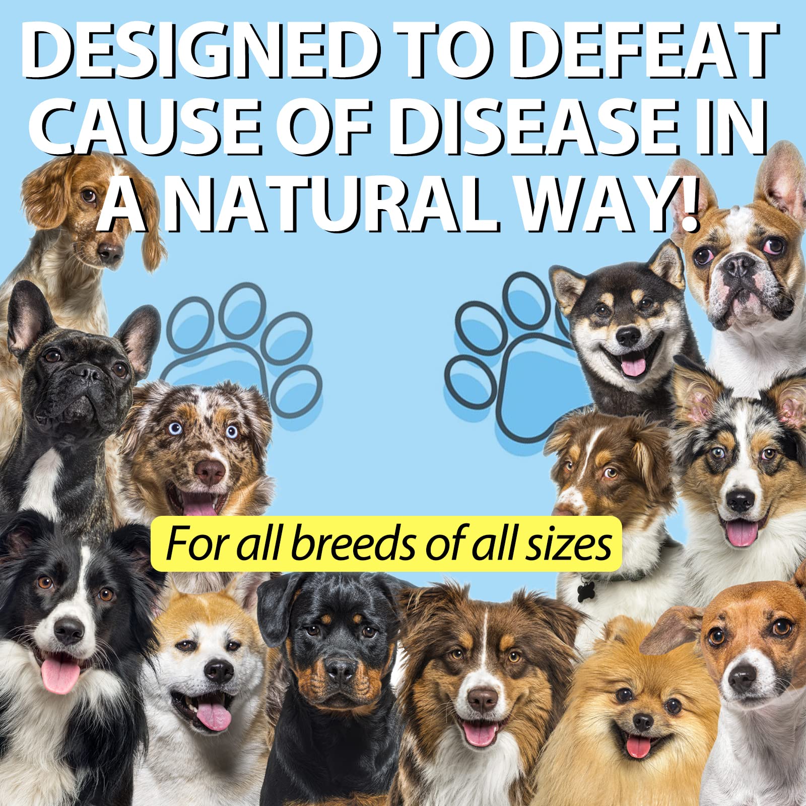 Kennel Cough for Dogs- Kennel Cough Treatment, Natural Cough Supplement for Dogs, Gentle Dog Congestion Relief, Liquid Dog Aller