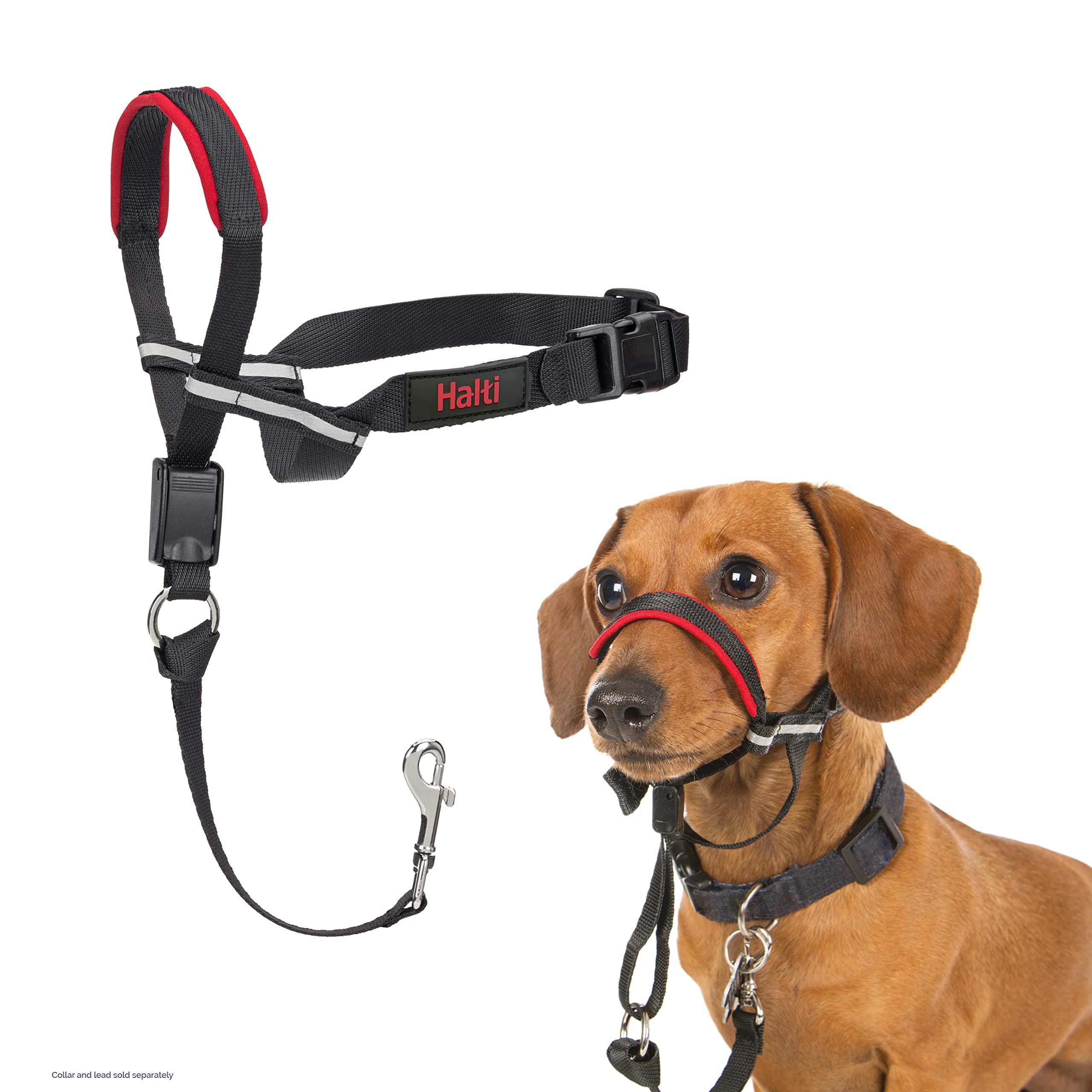Halti Optifit Headcollar - To Stop Your Dog Pulling On The Leash. Adjustable, Reflective And Lightweight, With Padded Nose Band. Dog Training Anti-Pull Collar For Small Dogs (Size Small)