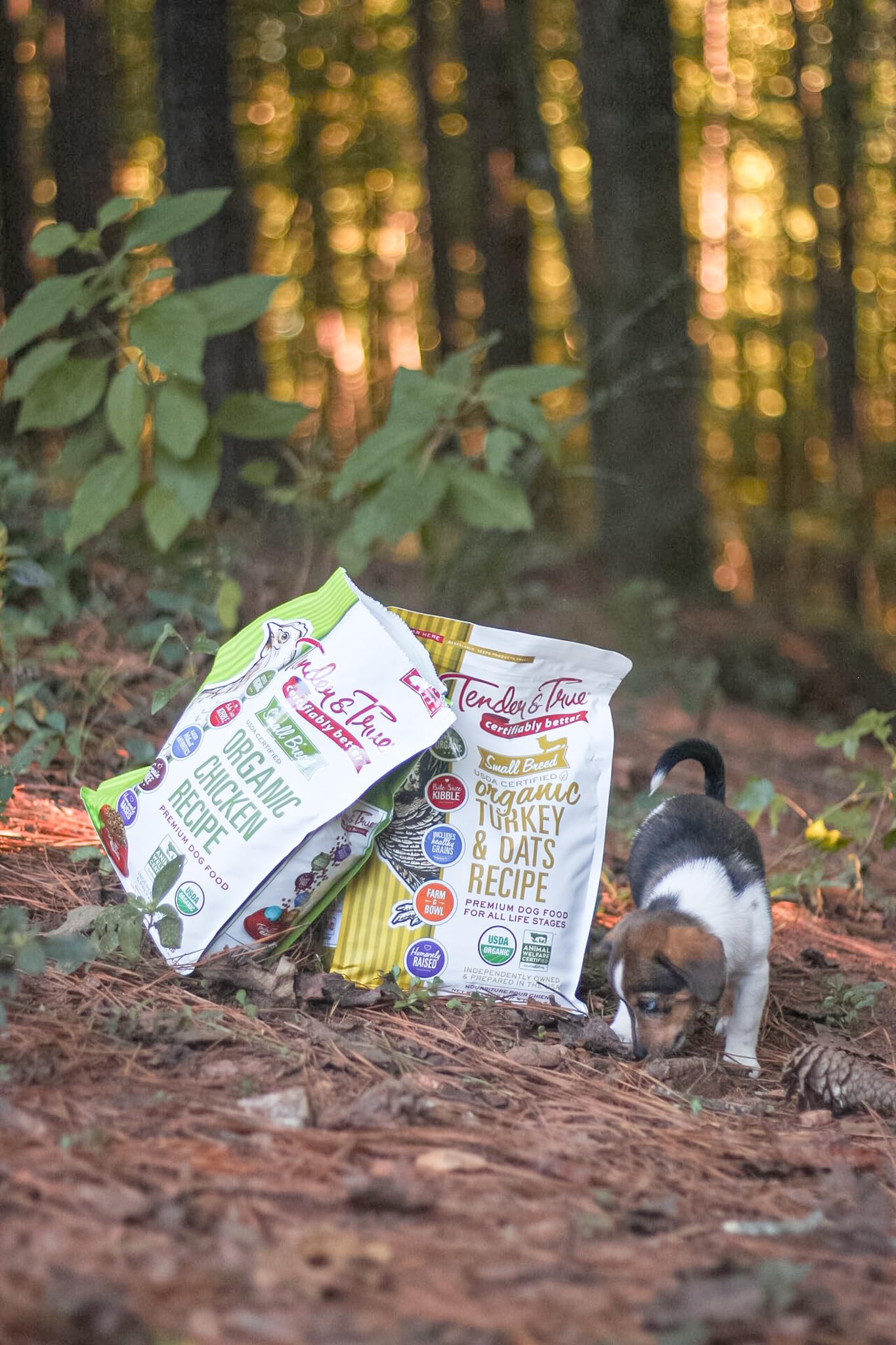 Tender & True Small Breed Organic Turkey & Oats