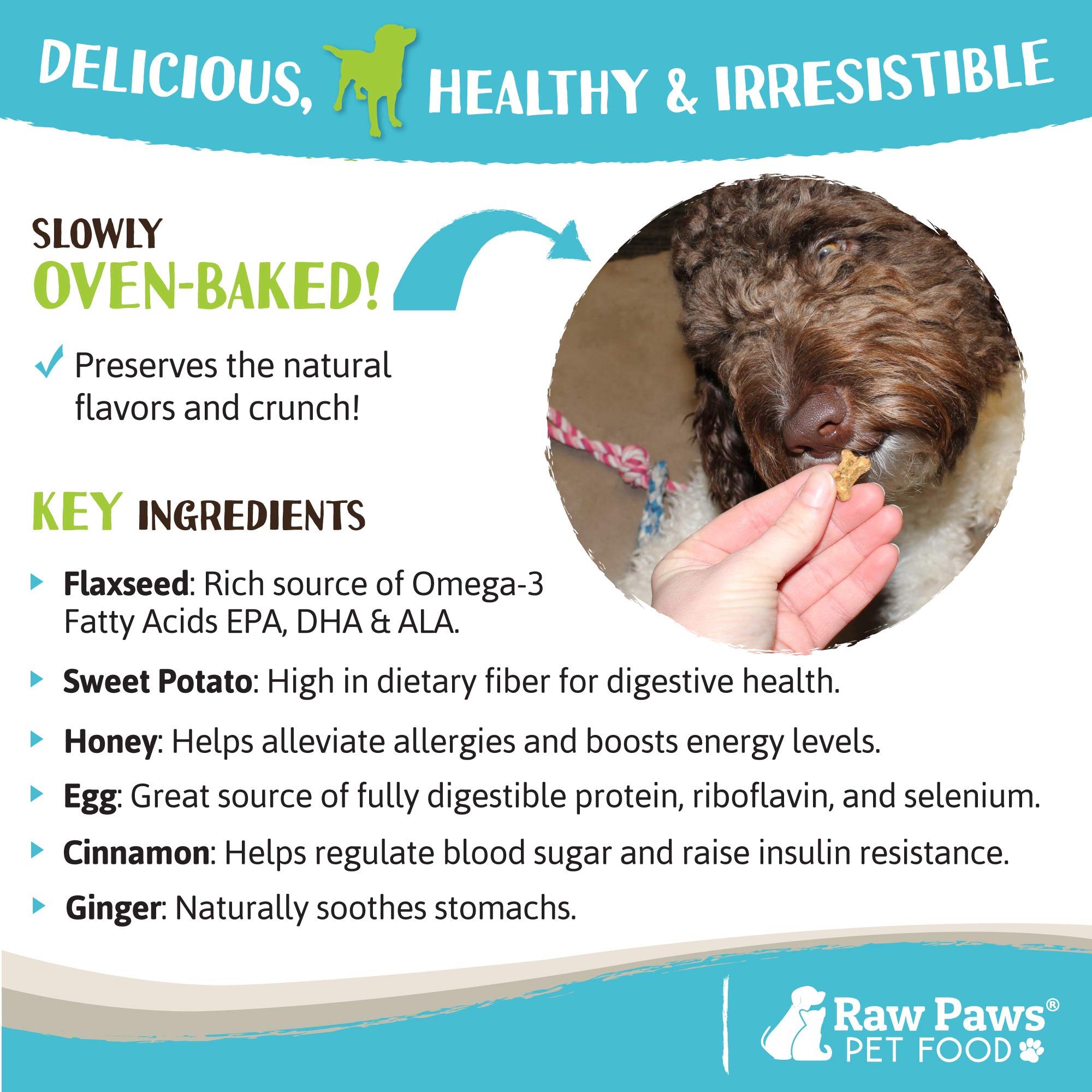 Raw Paws Mini Bones for Dogs - Sweet Potato & Honey Recipe, 10-oz - Made in USA Mini Dog Biscuits, Small Training Treats for Dog