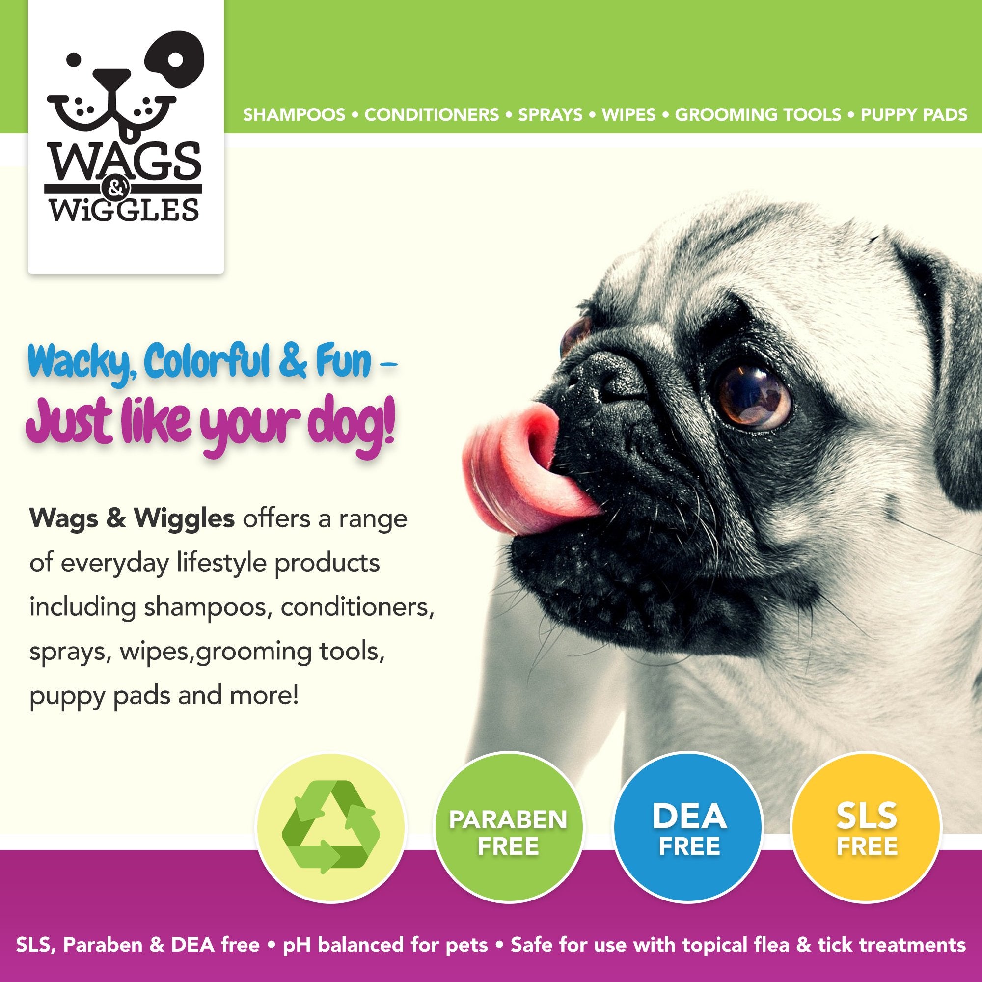 Wags & Wiggles Large Dog Nail Clippers for Medium and Large Dogs | Nail Clippers for Dogs | Dog and Puppy Supplies for All Dogs,