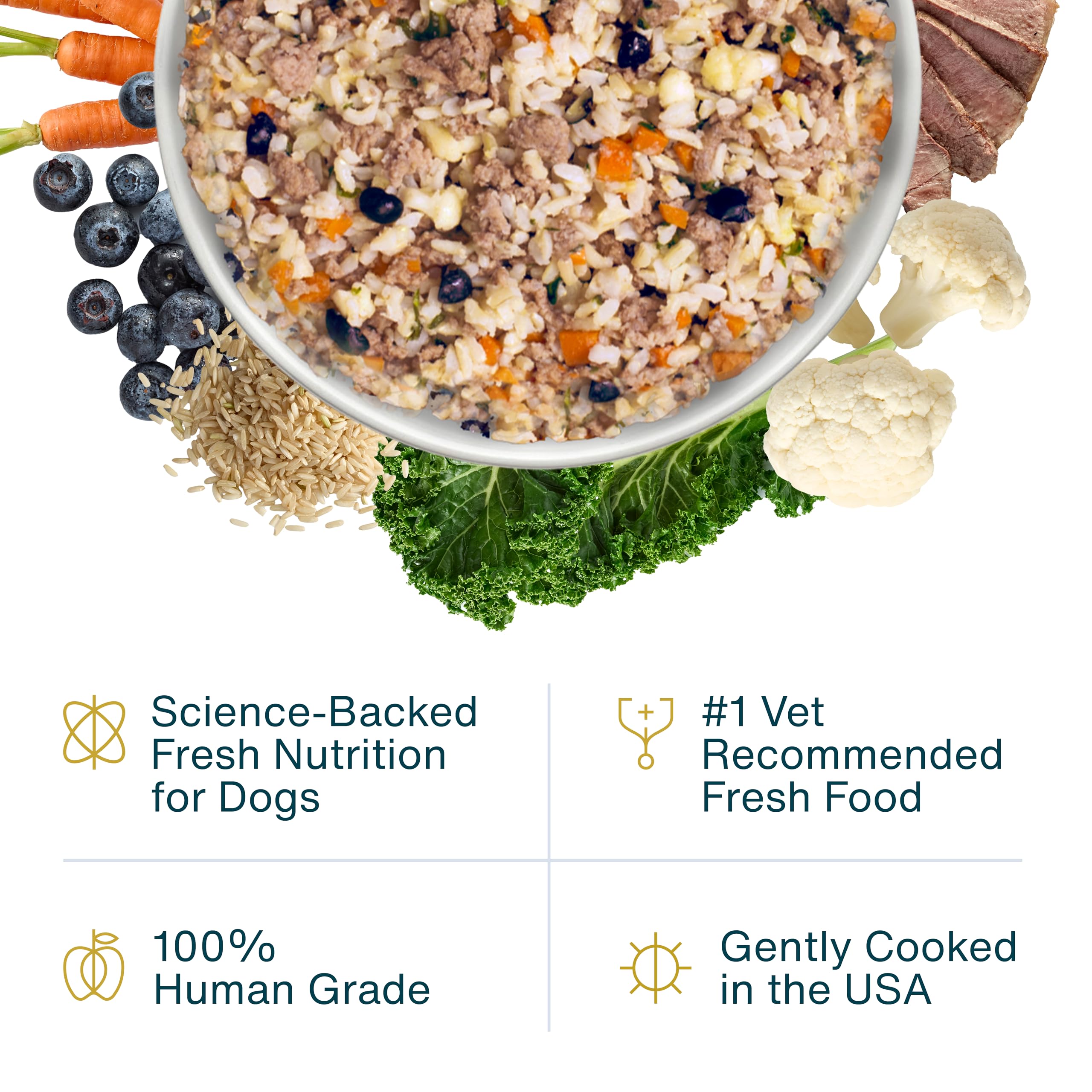 JustFoodForDogs Frozen Fresh Dog Food, Complete Meal or Topper, Lamb & Brown Rice Human Grade Dog Food Recipe, 18 oz (Pack of 7)
