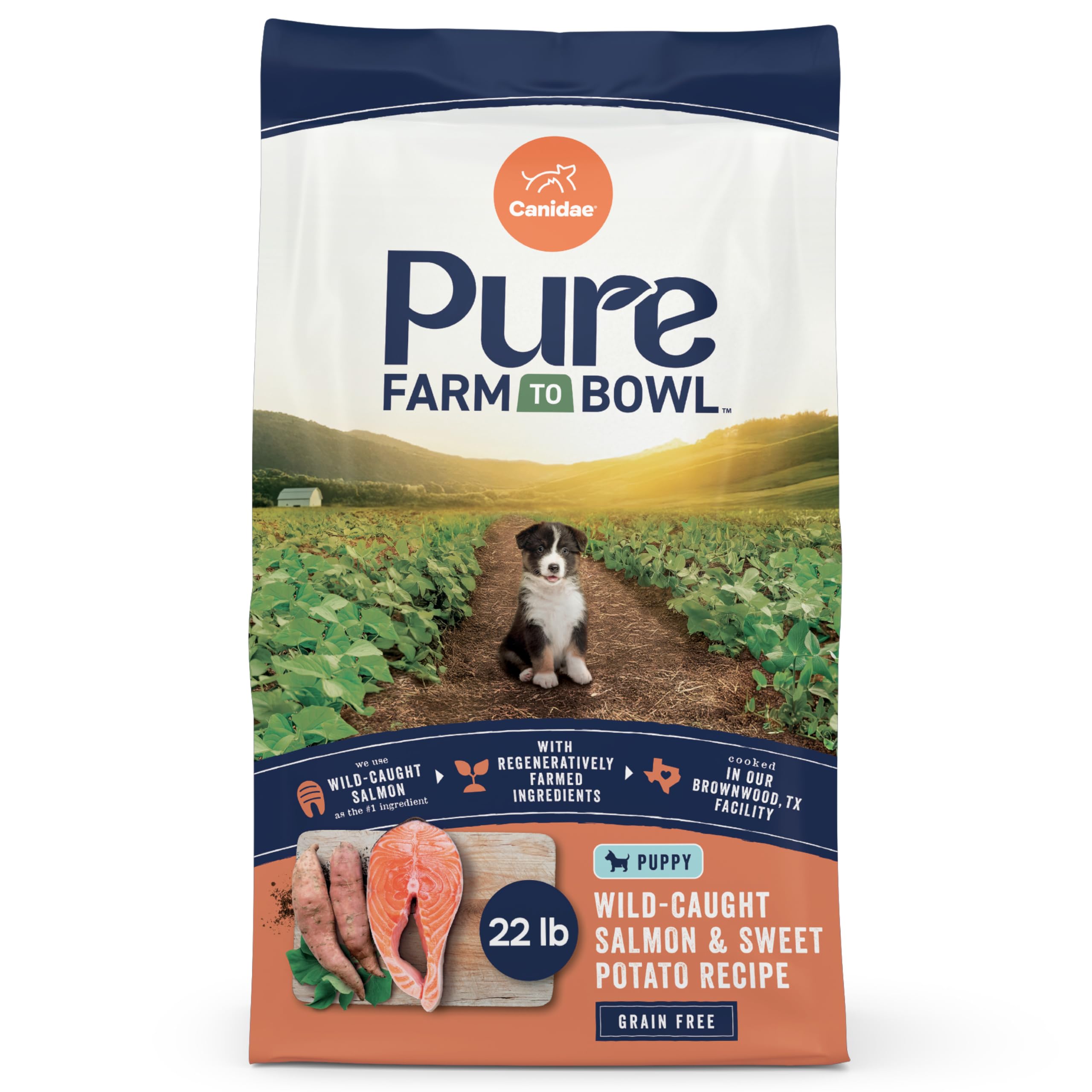 Canidae Pure Grain Free Dry Puppy Food, Real Salmon & Sweet Potato, 22 lbs.