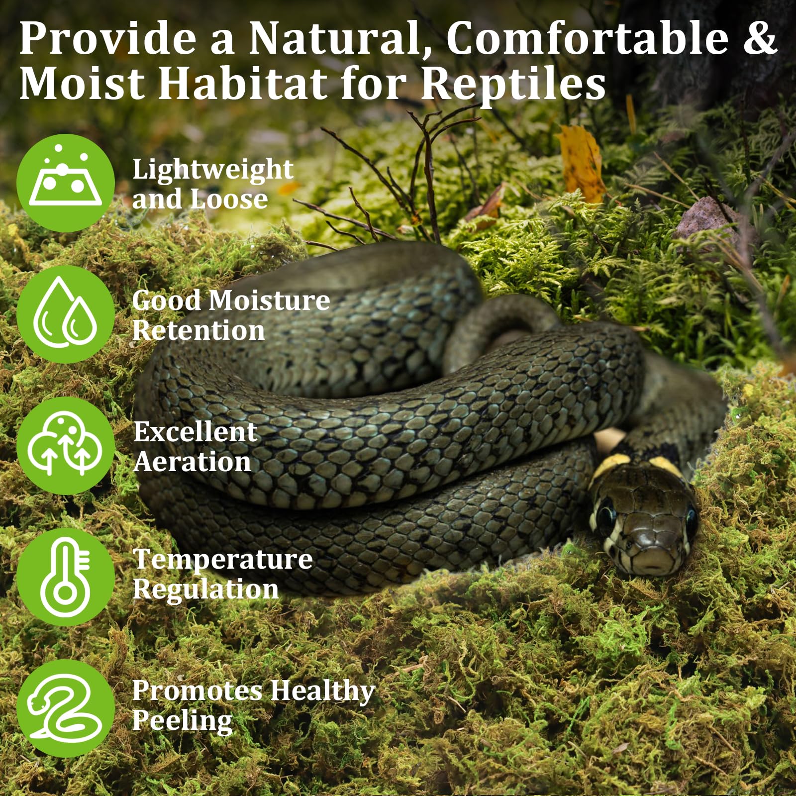 Legigo 3.5 Oz Sphagnum Moss For Reptile- 4 Qt Natural Reptile Moss Terrarium Moss Substrate, Snake Tank Moss Peat Moss Reptile B