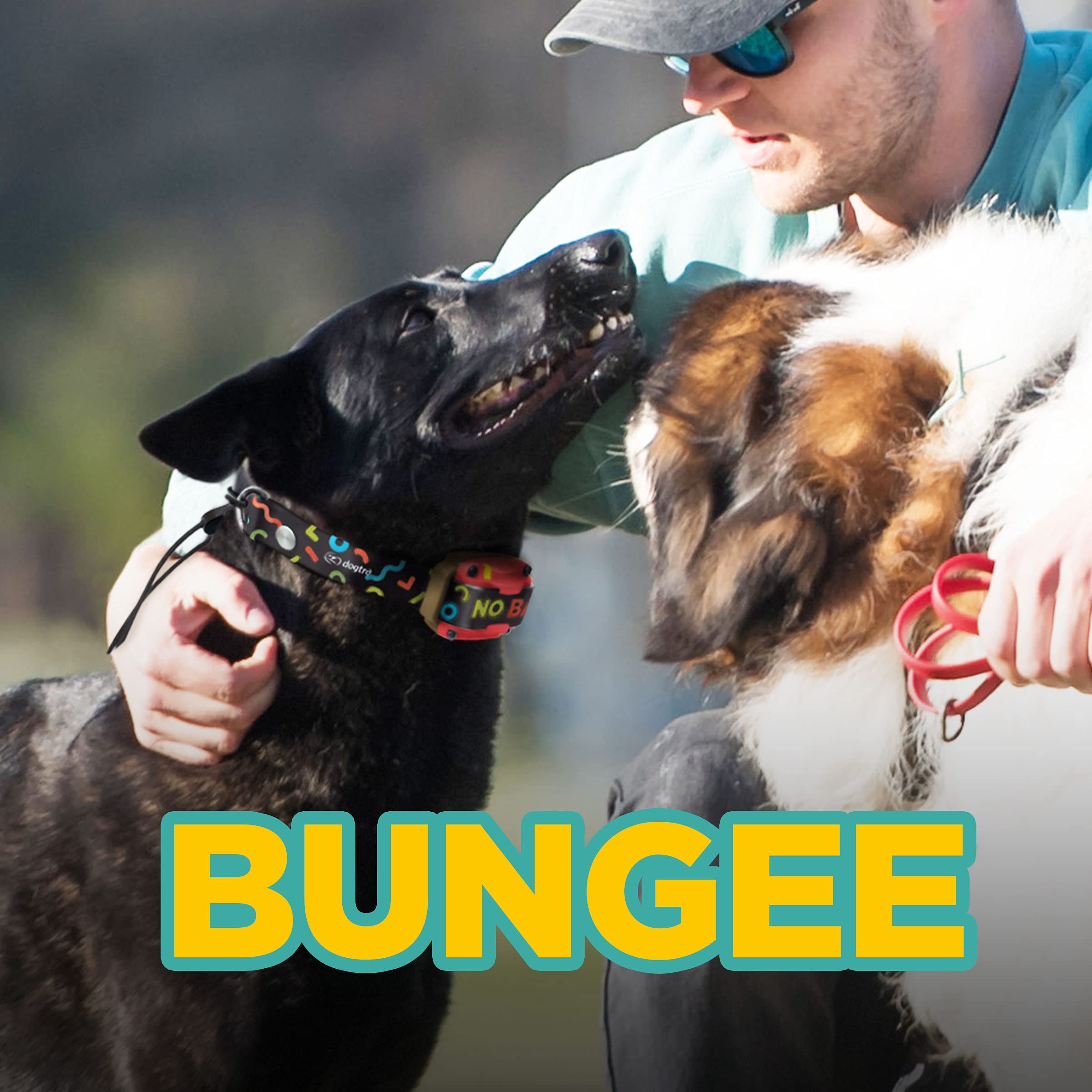 Dogtra Tom Davis Bungee Collar Comfortable Easy Fit Compatible With Tom Davis Edition 280C Dog Training E-Collar 3/4 Inch Stra