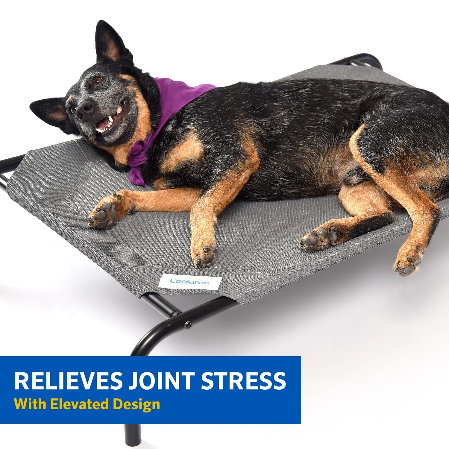 Coolaroo The Original Cooling Elevated Dog Bed, Indoor And Outdoor, Medium, Nutmeg