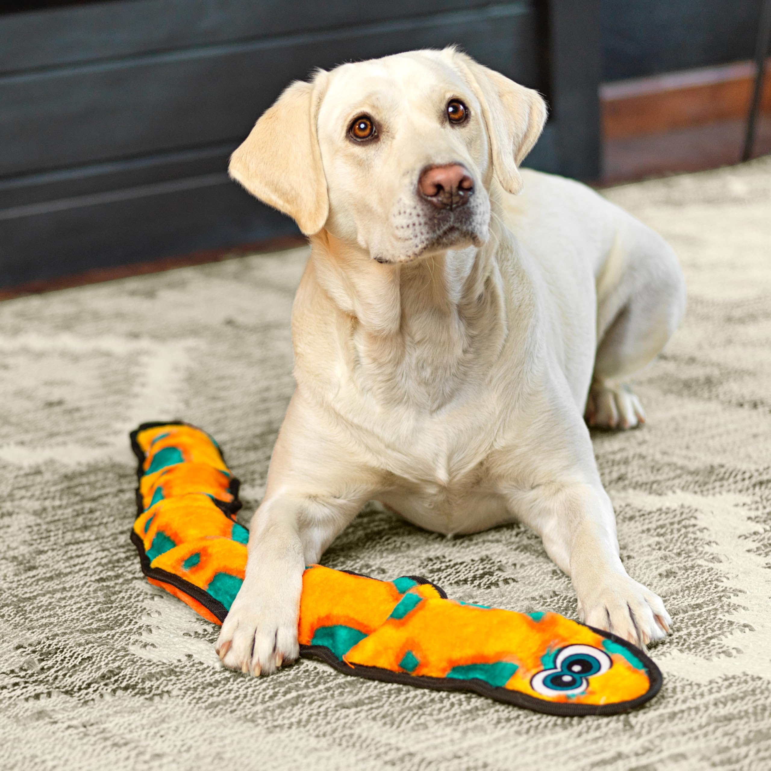 Outward Hound Durablez Tough Plush Squeaky Dog Toy, Snake, Orange, Xl