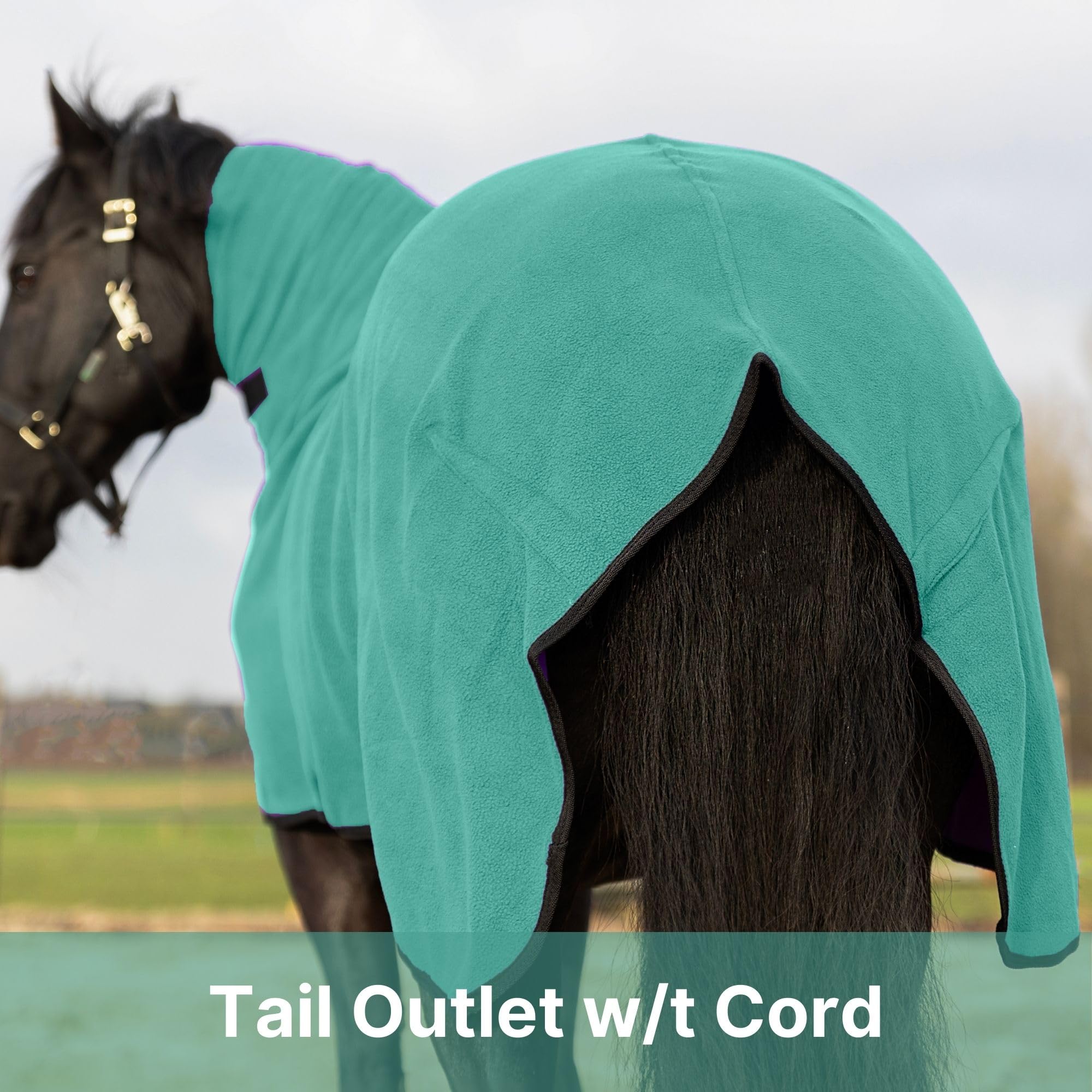 Resistance Long Lasting & Warm Soft Fleece Contour Cooler For Horse (Teal, Medium)
