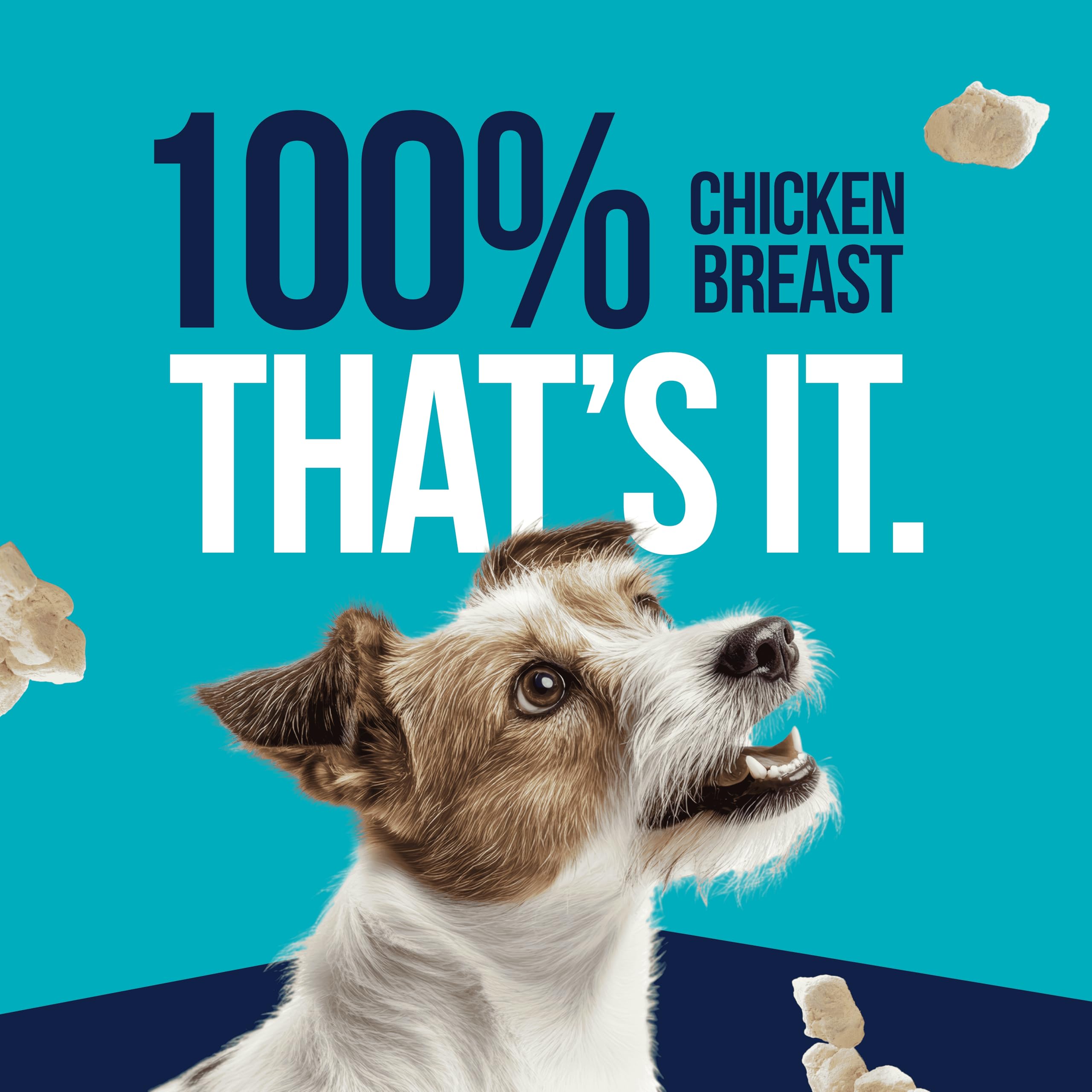 Stewart Chicken Breast Dog Treats, 3 oz, ~55 Pieces, Freeze Dried Raw, Single Ingredient, 74% Protein Training Treats or Meal To