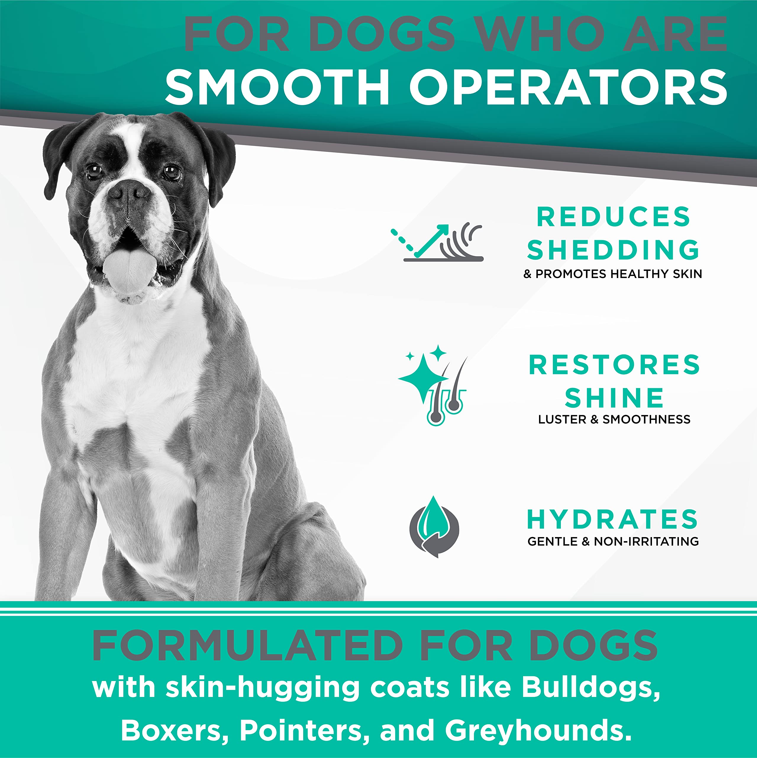 Tropiclean Perfect Fur Dog Shampoo For Shedding Control & Restoring Shine For All Breeds With A Smooth Coat | 16 Oz