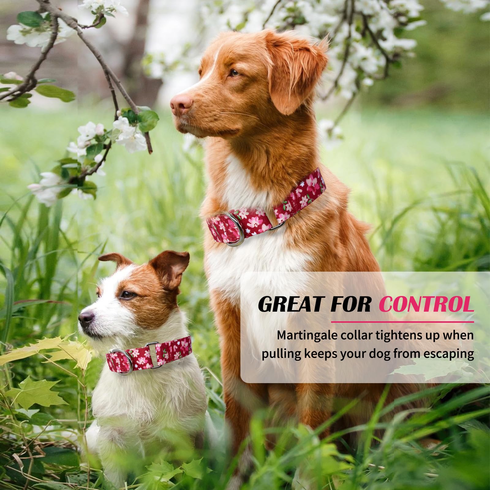 Hikiko Martingale Collar For Dogs With No Buckle Female Designer Floral Dog Collar Nylon No Pull Dog Collars For Small Dogs,Japa