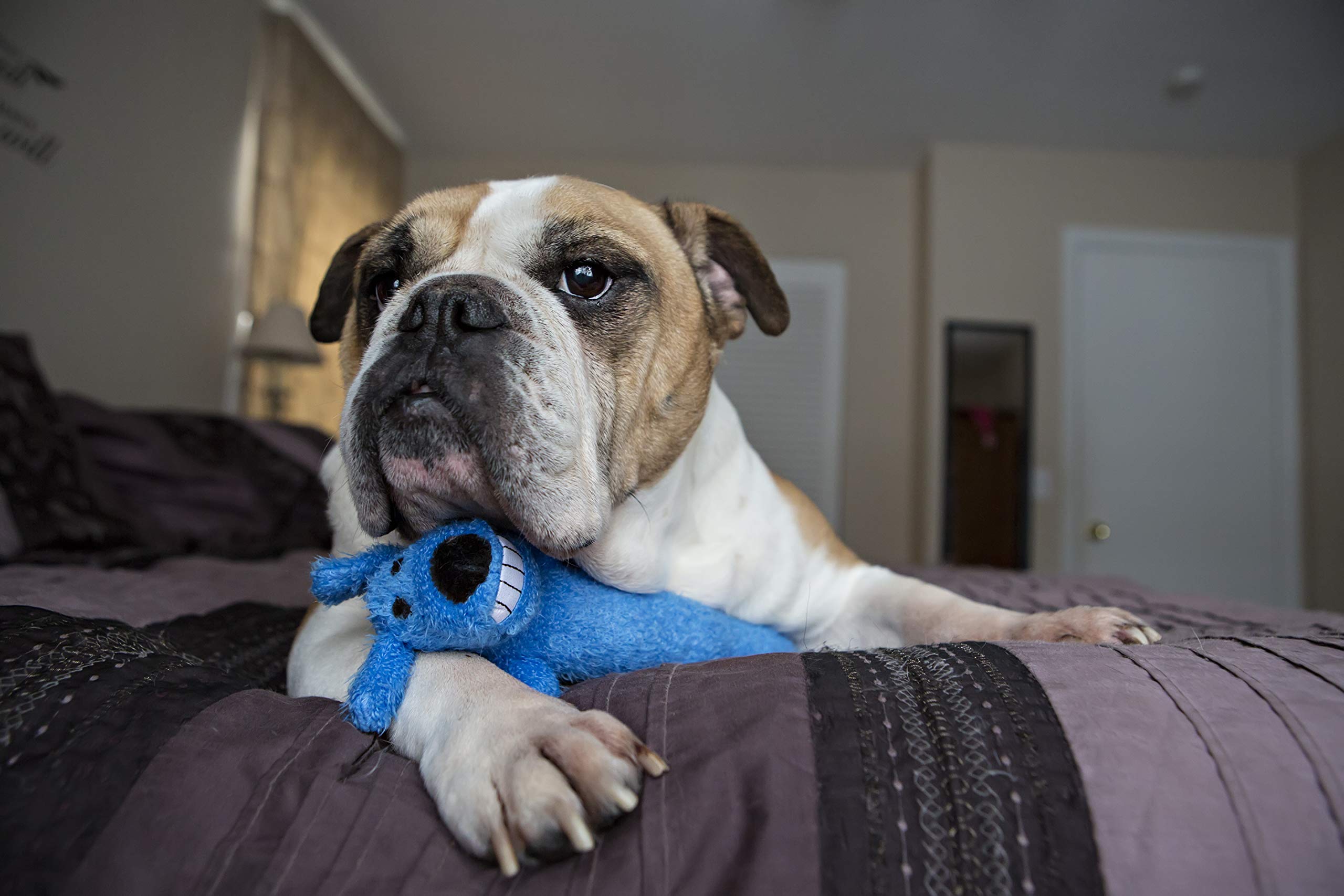 Multipet Loofa Dog 18'' Plush Dog Toy, Colors May Vary (1 each)