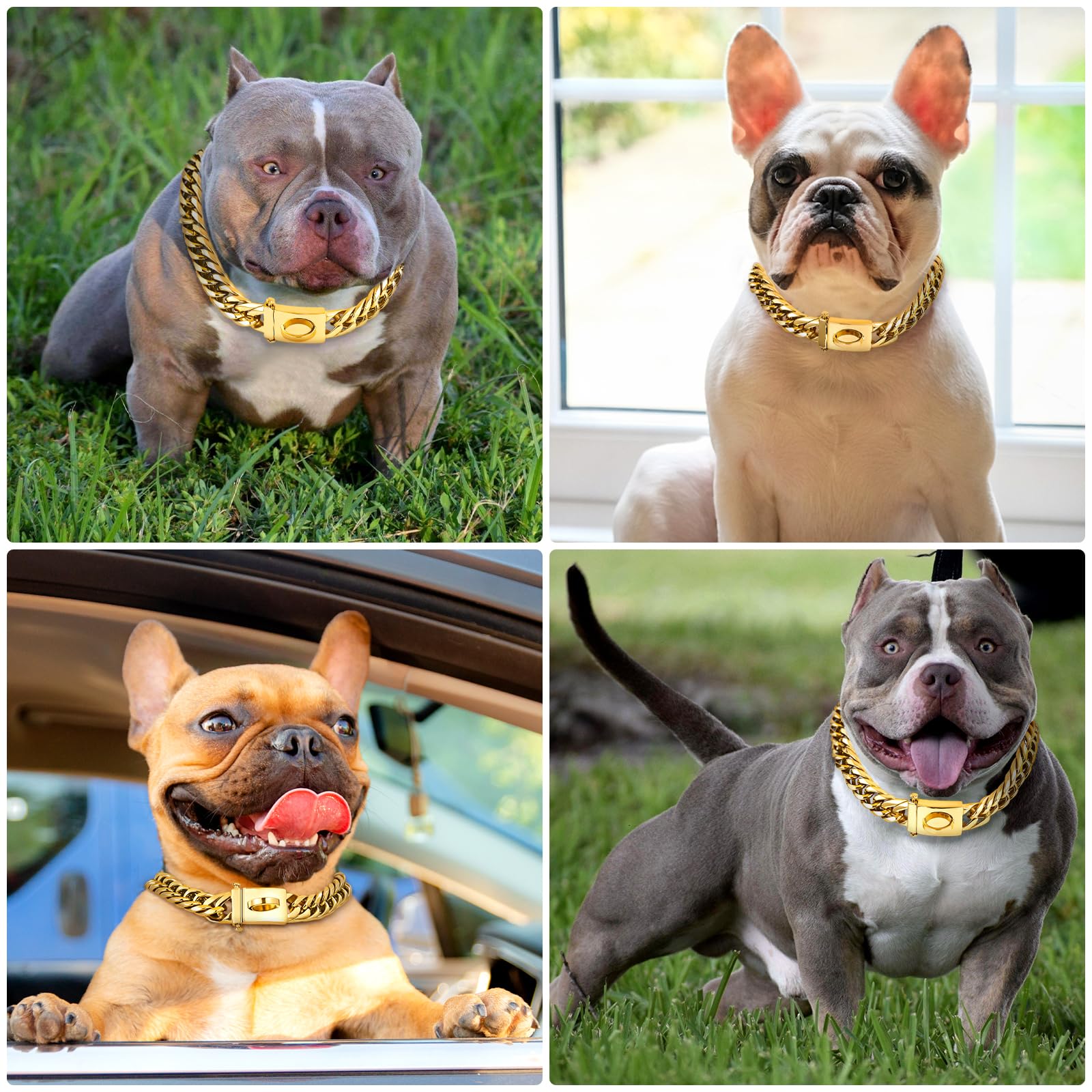 Baobote Heavy Duty Cuban Link Dog Collar - 18K Gold, Chew Proof, Secure Snap Buckle (20 Gold)