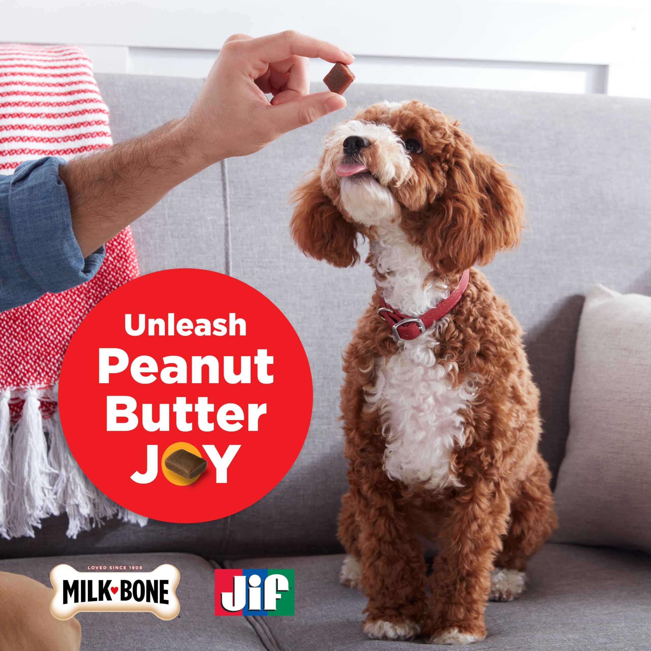 Milk-Bone Peanut Buttery Bites Soft Dog Treats with Real Peanut Butter & Bacon, 4.5-Oz. Bag