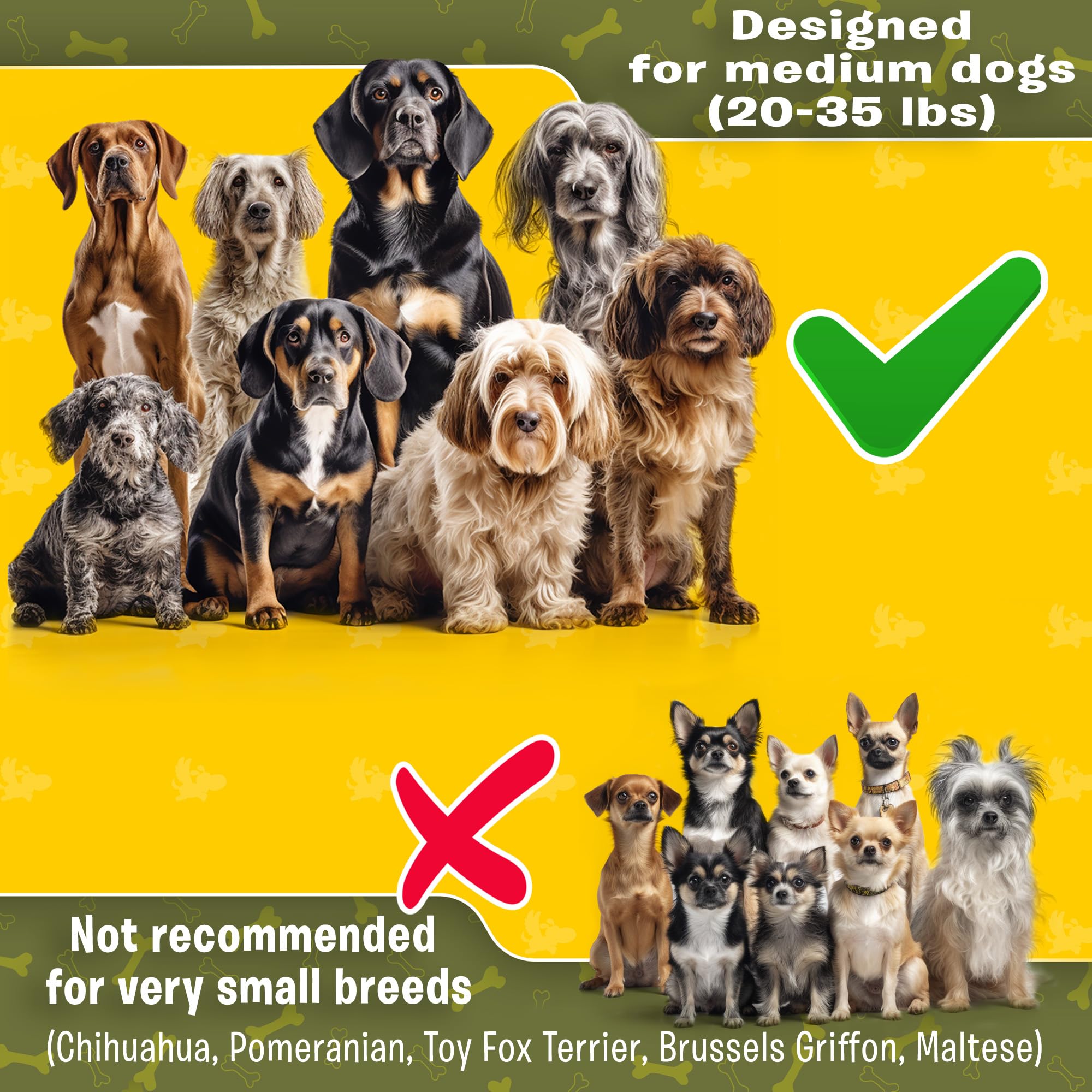 Adjustable Hands Free Dog Leash For Running | Waist Leash For Dog Walking Small Breeds | Dog Running Leash | Hiking Leash For Medium Dogs | Service Dog Leash Belt | Bungee Dog Leash | Hands Free Leash