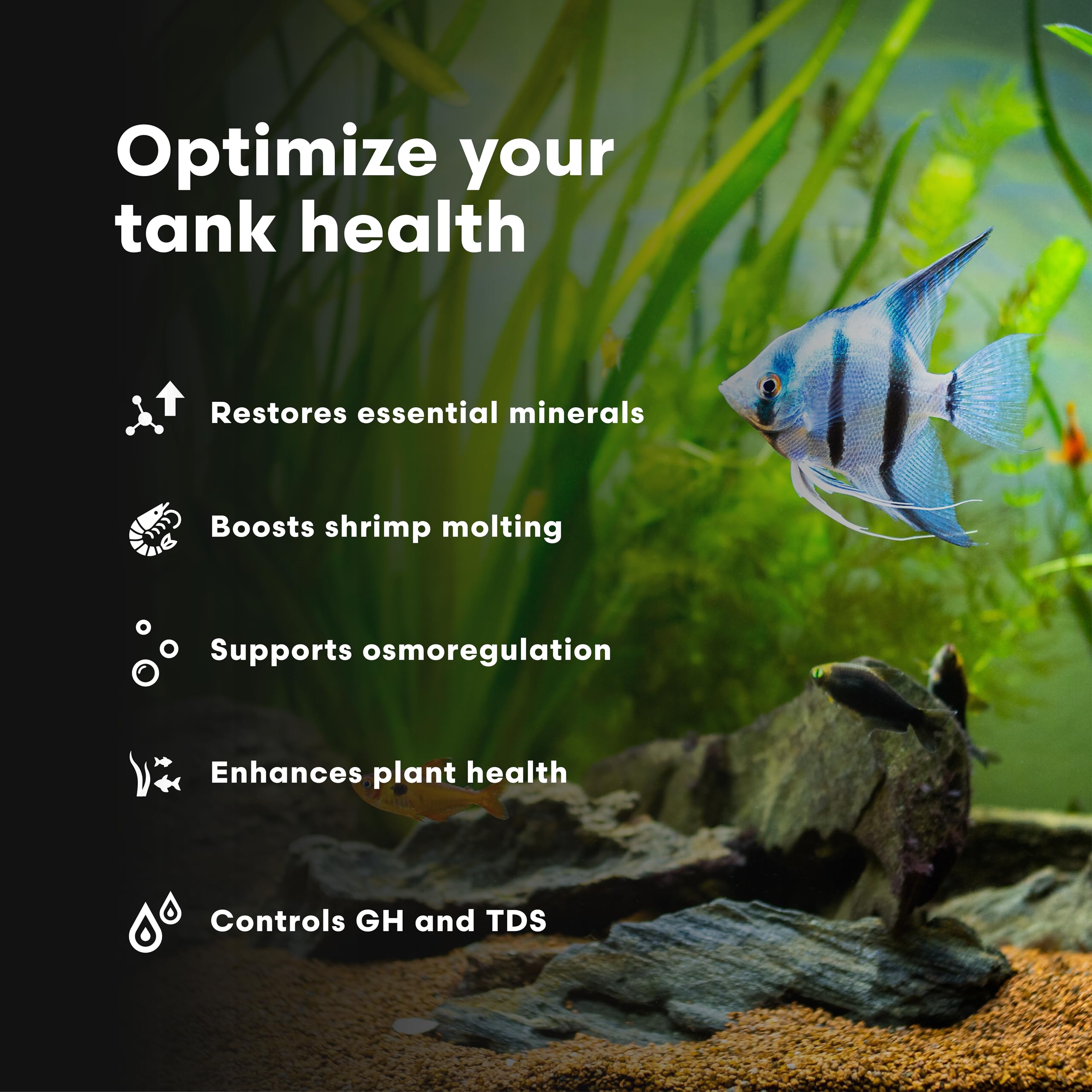 Brightwell Aquatics Caridina GH+ Mineral Supplement Restores Calcium Magnesium Potassium Sodium in Soft RO/DI Water for Shrimp B