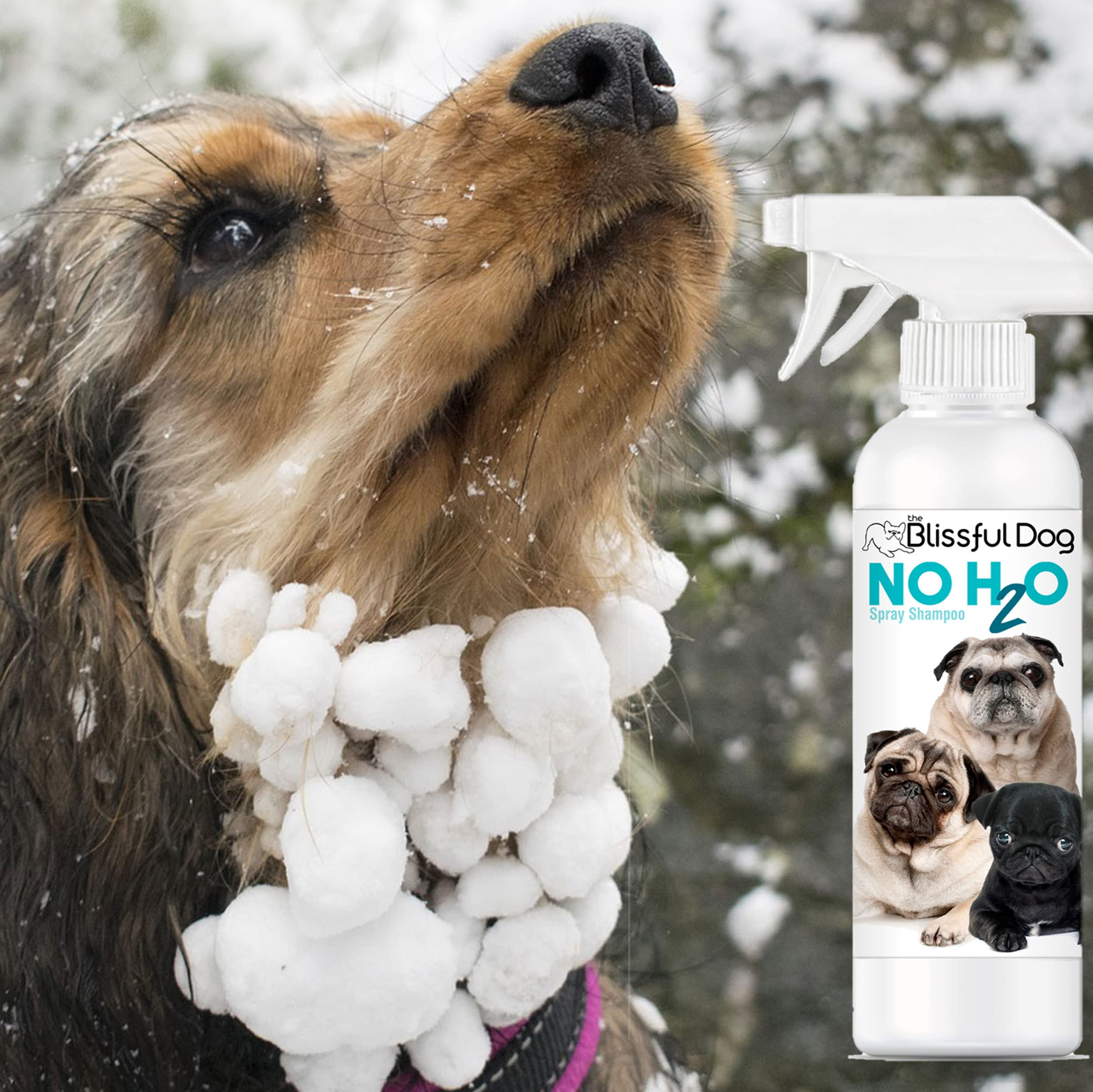 The Blissful Dog No H2O Waterless Pet Shampoo, 16 oz.