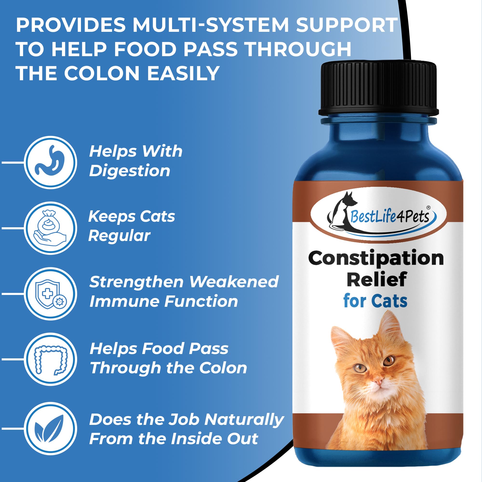 BestLife4Pets - Cats Constipation Relief and Stool Softeners - Natural Health Supplements to Help Digestion, Gas Relief and Cons