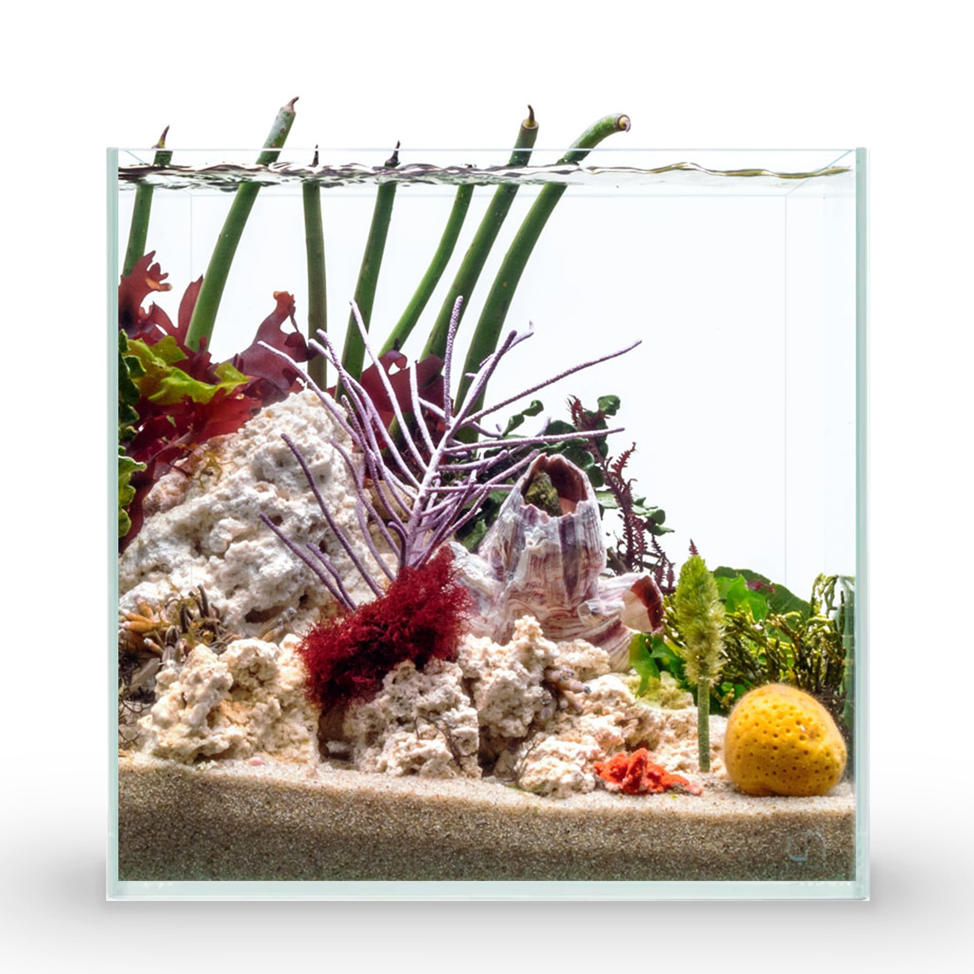 Ultum Nature Systems Ultra Clear Rimless Aquarium - Low Iron Glass Fish Tank With 45 Mitered Edges, 5Mm-12Mm Thick, Leveling Mat