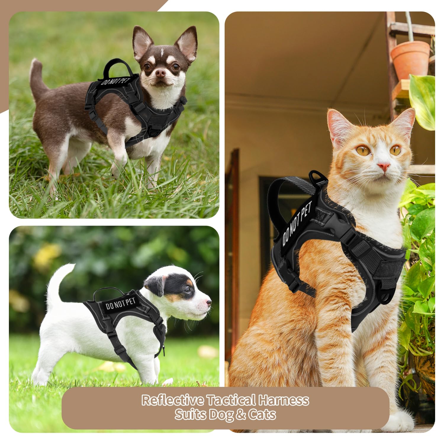 Tactical Dog Harness Tactical Puppy Vest With Rubber Handle K9 Military Adjustable Pet Vest Harness For Outdoor Training Xs Dog