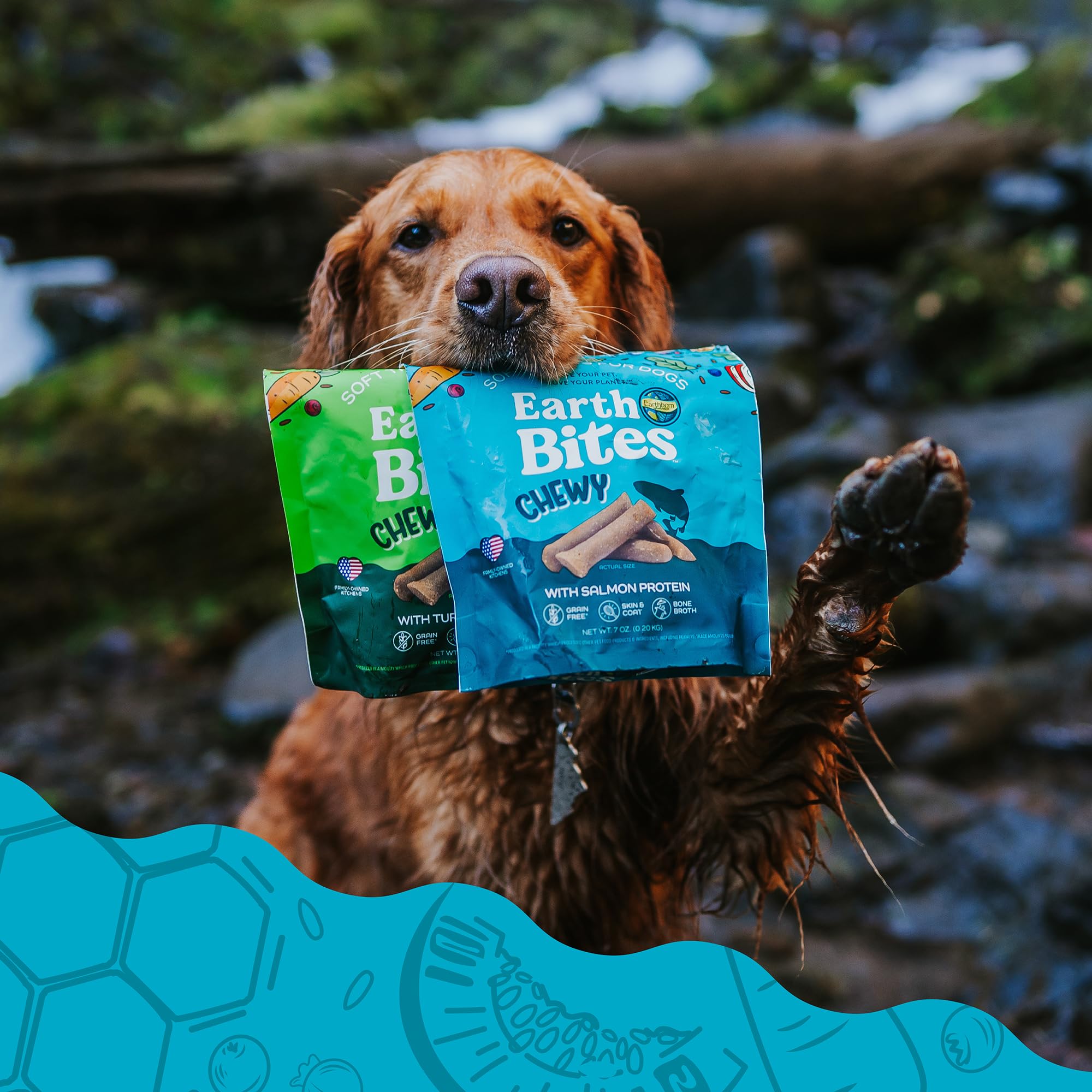 Earthborn Holistic EarthBites with Salmon Grain-Free Soft Treats for Dogs & Puppies, Skin & Coat (7 oz. Pouch)