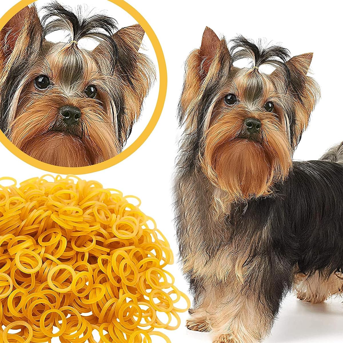 Pet Show 900Pcs 15Mm Dia. 100G/Pack Bulk Dog Rubber Bands For Hair Grooming Diy Hair Bows Top Knots For Puppies Cats Farm Animal