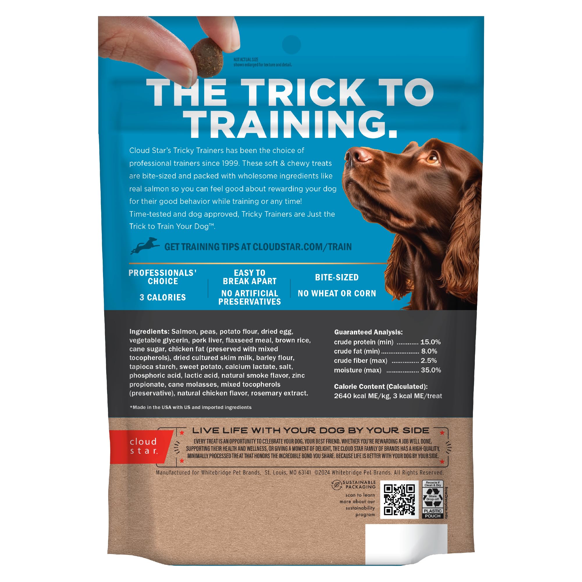Cloud Star Tricky Trainers Soft & Chewy Dog Training Treats 14 oz Pouch, Salmon Flavor, Low Calorie Behavior Aid with 360 treats