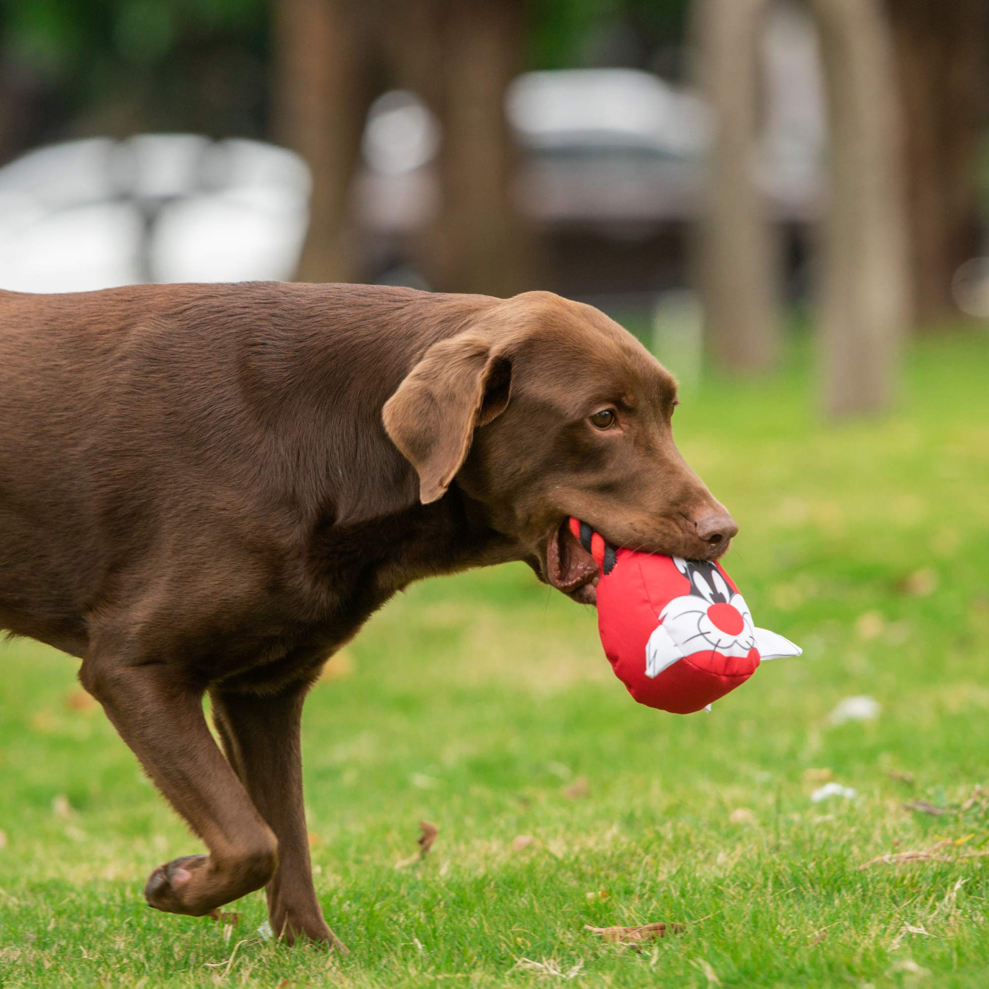 Looney Tunes For Pets Sylvester Rope Head Stuffed Dog Toy For All Dogs | Red, White, And Black Character Plush Fabric Toy For Dogs | Cute Rope Canvas Dog Toy