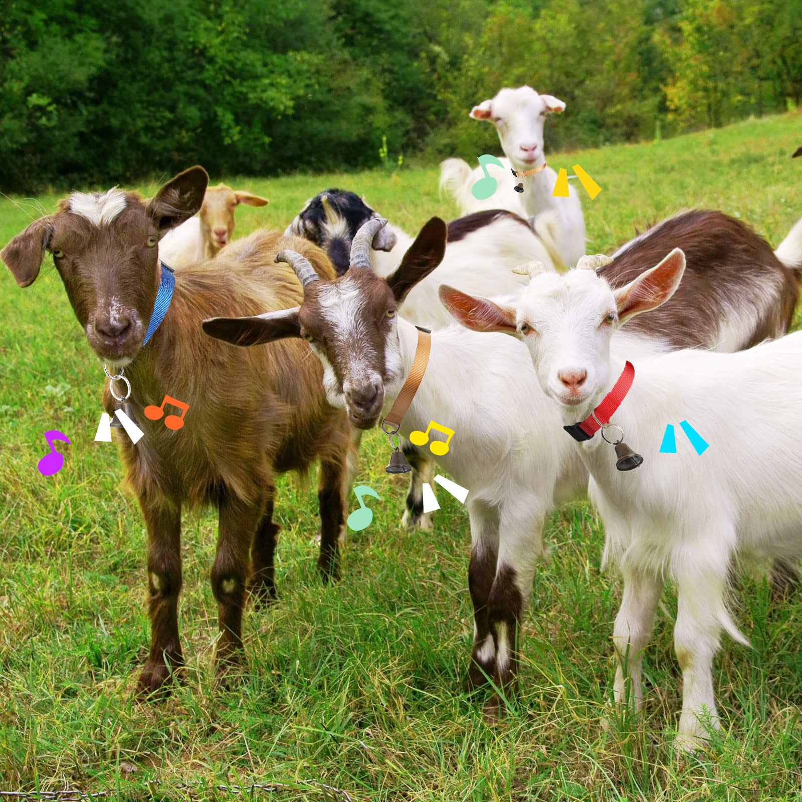 12 Sets Goat Collars With Bells Horse Sheep Grazing Cow Bells Adjustable Nylon Dog Bell Collar With Quick Release Buckle Anti Lost Pet Collar With Copper Bell For Small Farm Animal Sheep Accessories